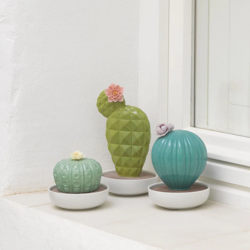 Ferocactus Cactus Diffuser - Image 3