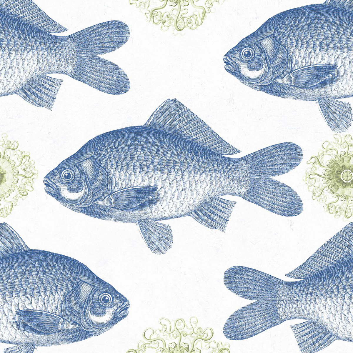 Fish Wallpaper - Image 5
