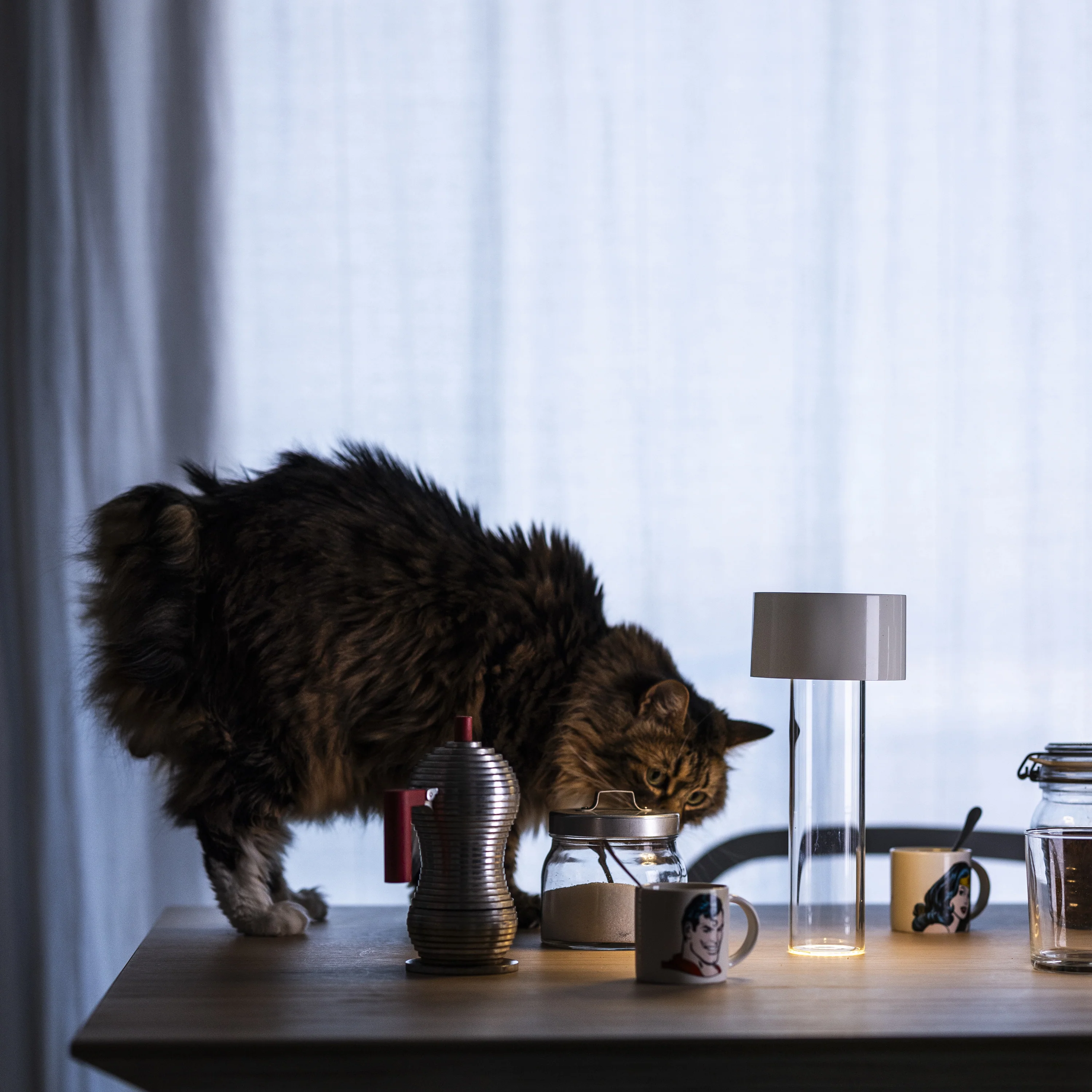 Fleur Vase & Portable Lamp - Image 11