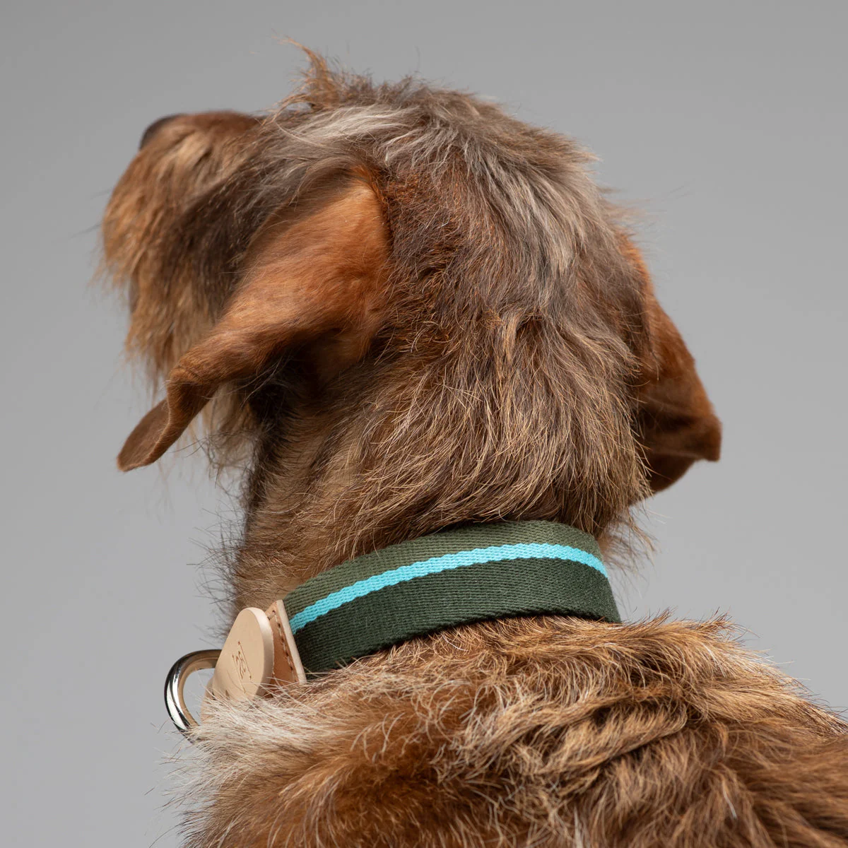 Franco Dog Collar - Image 16