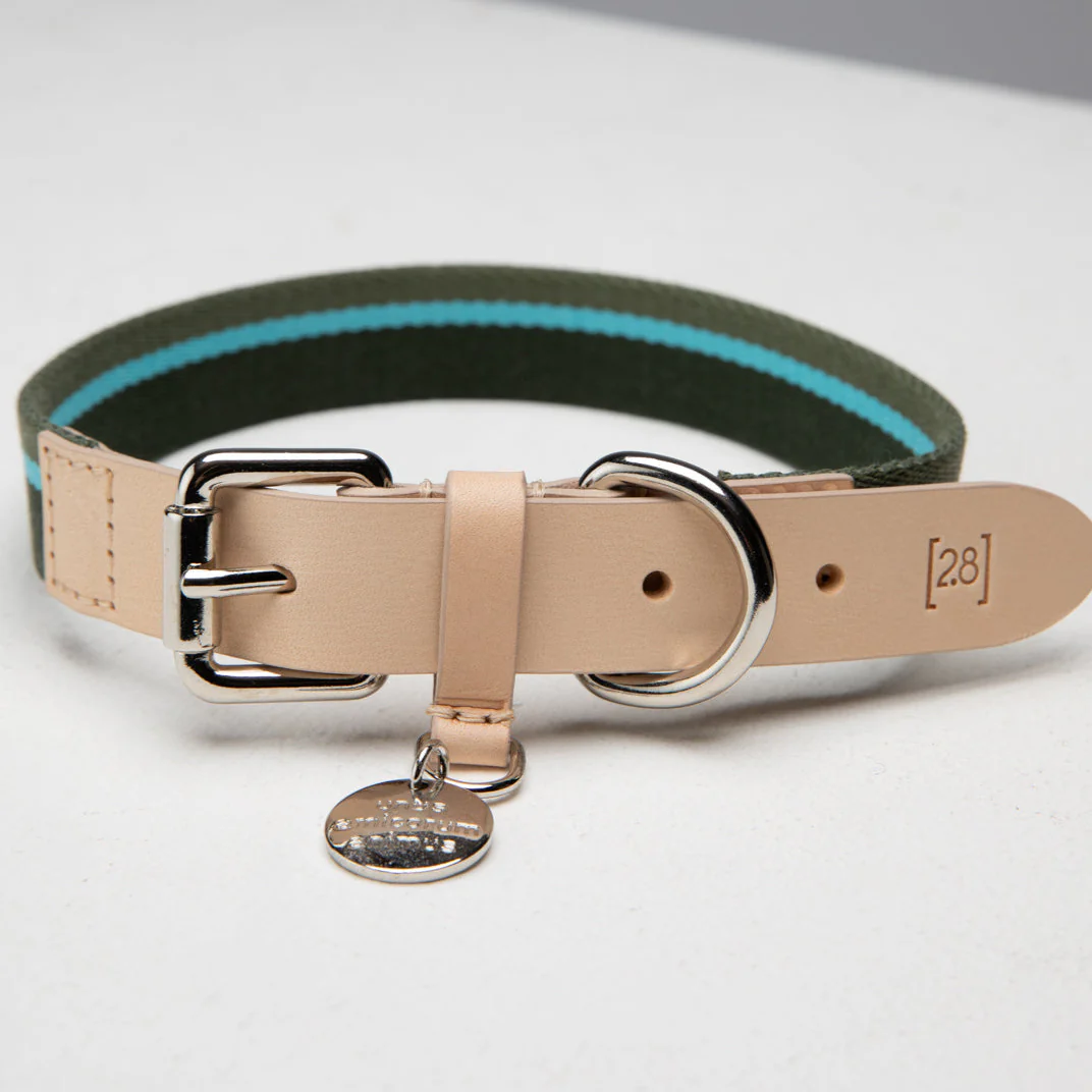Franco Dog Collar - Image 9