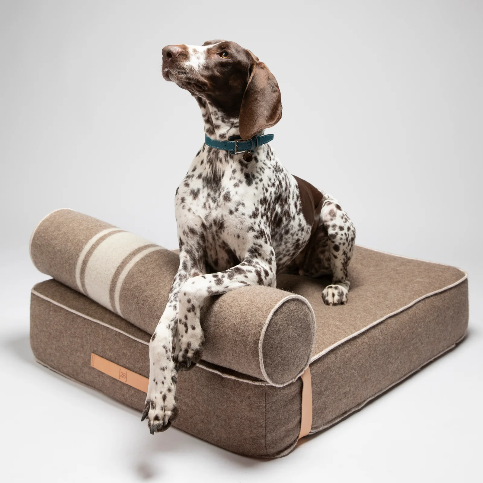 Giampaolo Daybed - Image 8