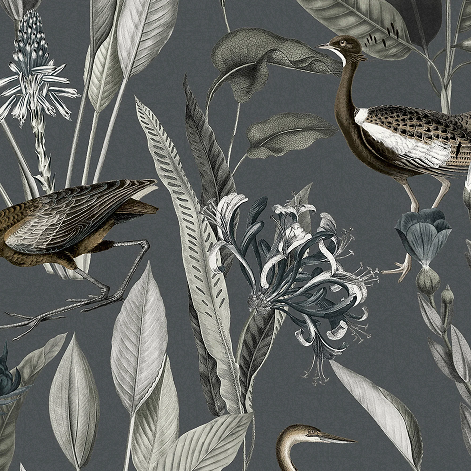Glasshouse Wallpaper - Image 2