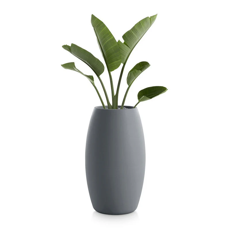 Gobi Planter 2 - Image 4