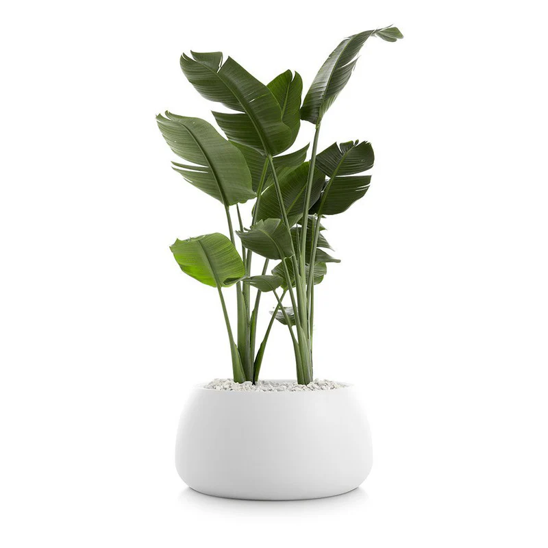Gobi Planter 3 - Image 4