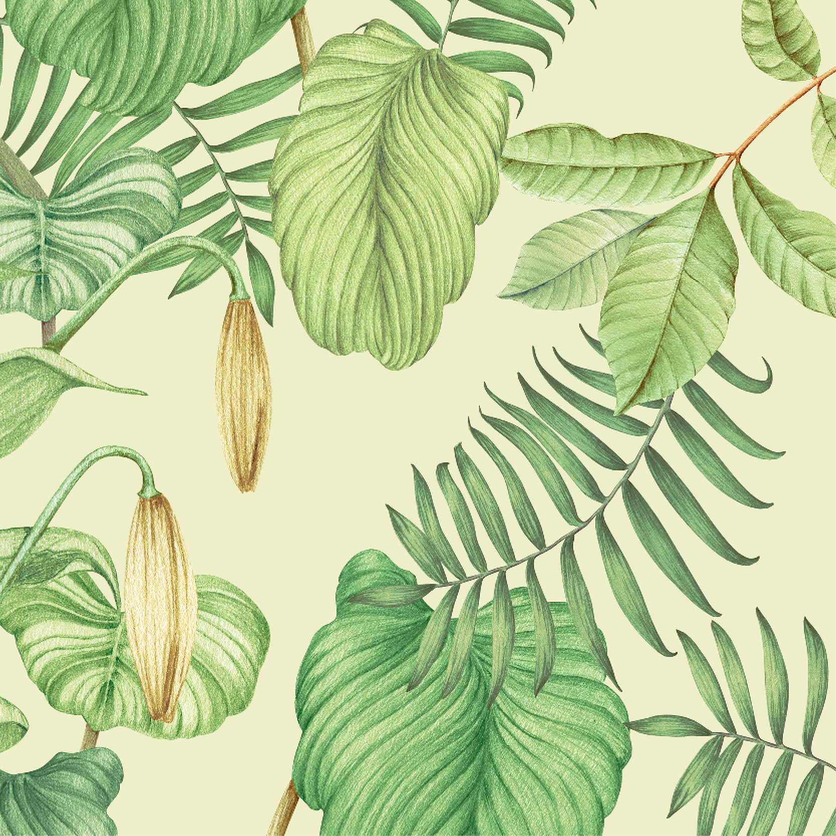 Greenery Wallpaper - Image 4