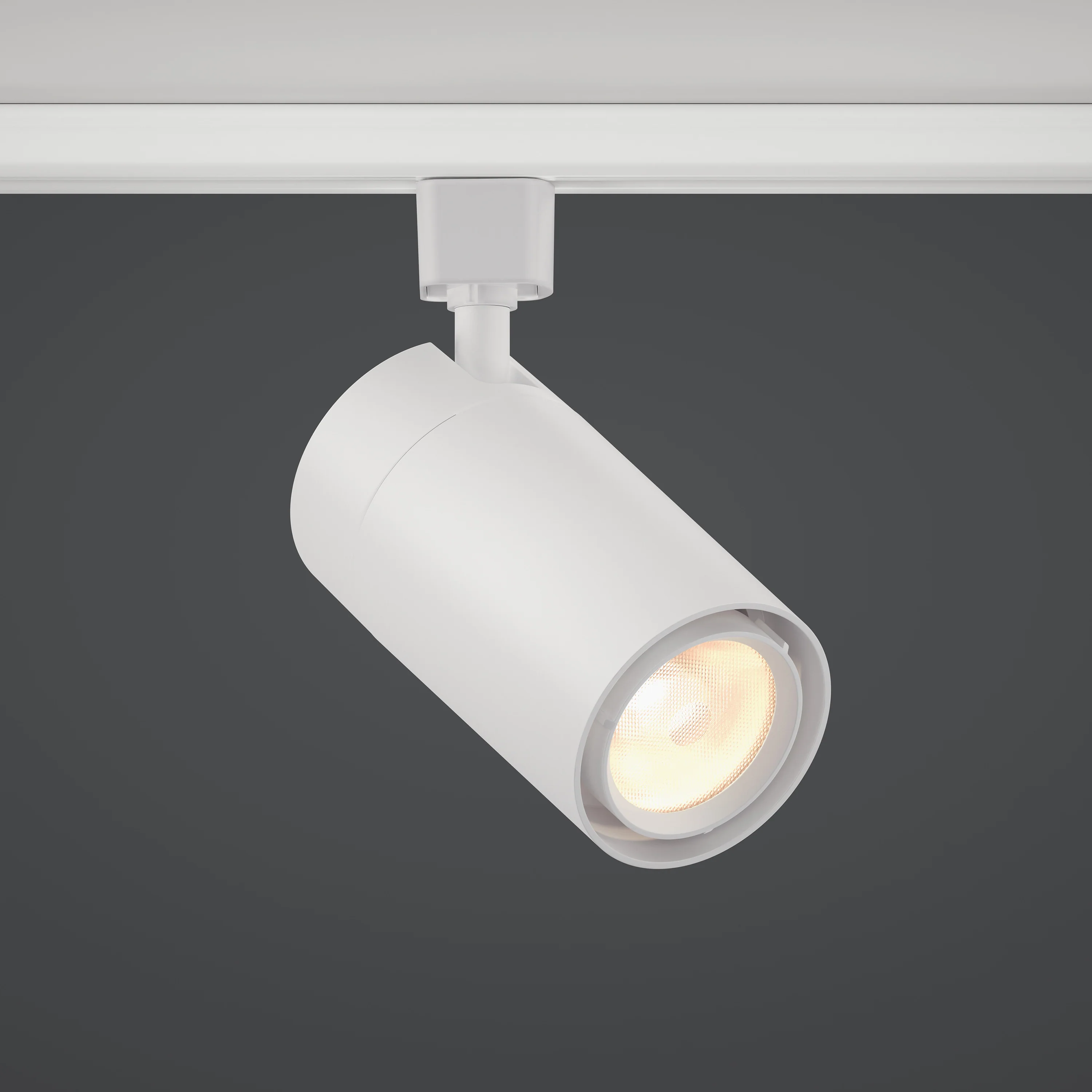 GX25 LED Track Light - Image 4