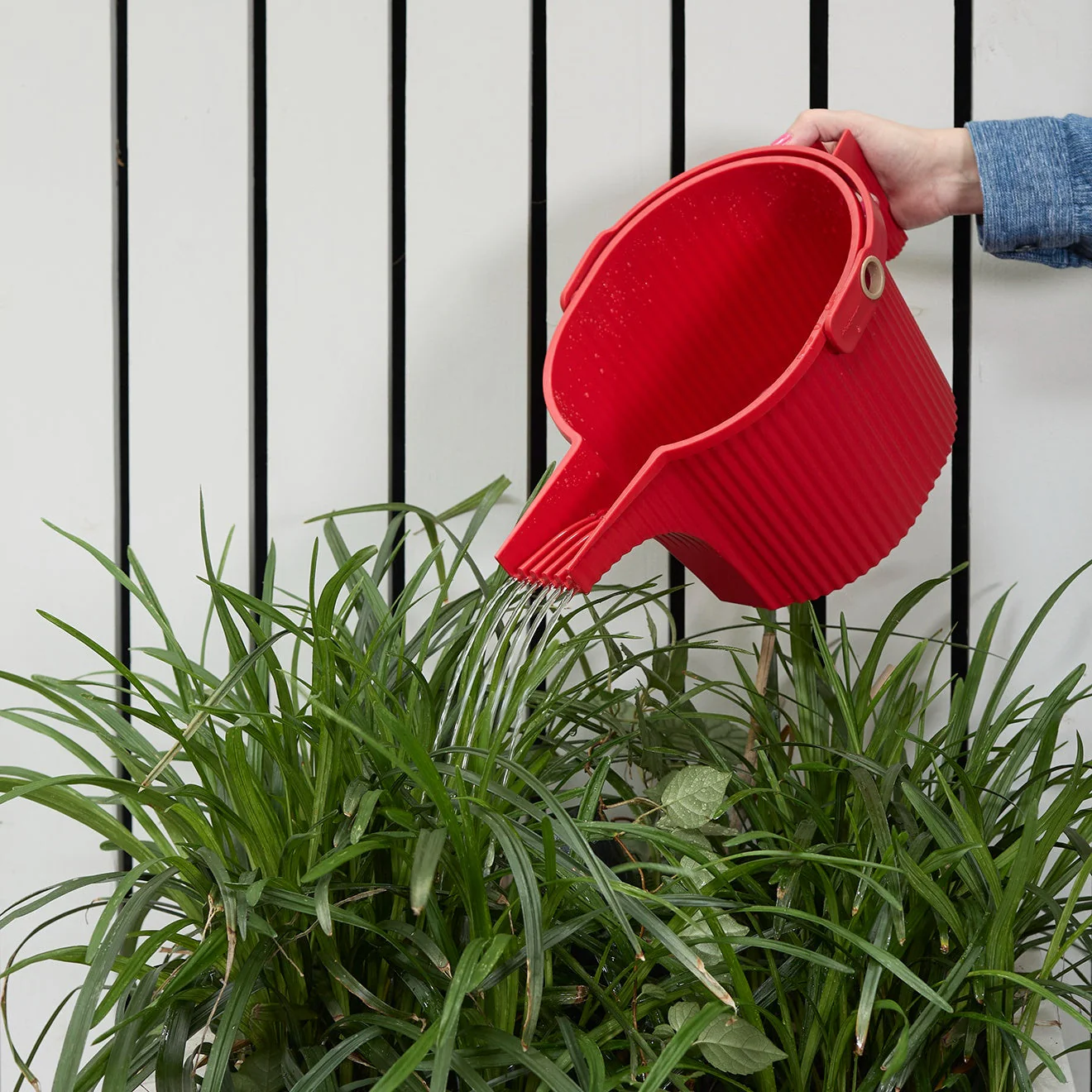 Hachiman Garden Beetle Watering Can - Image 8