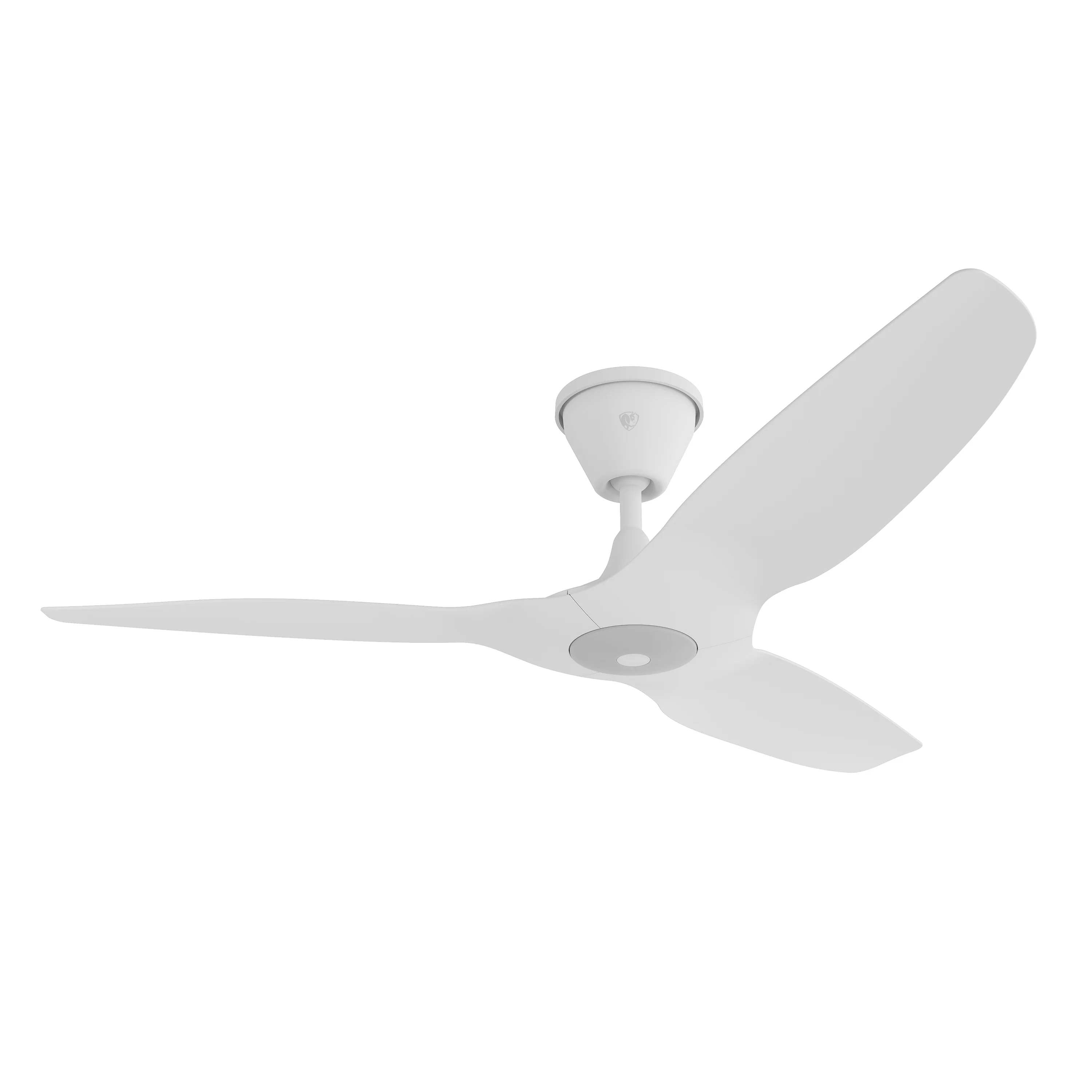 Haiku Coastal Outdoor Ceiling Fan - Image 9