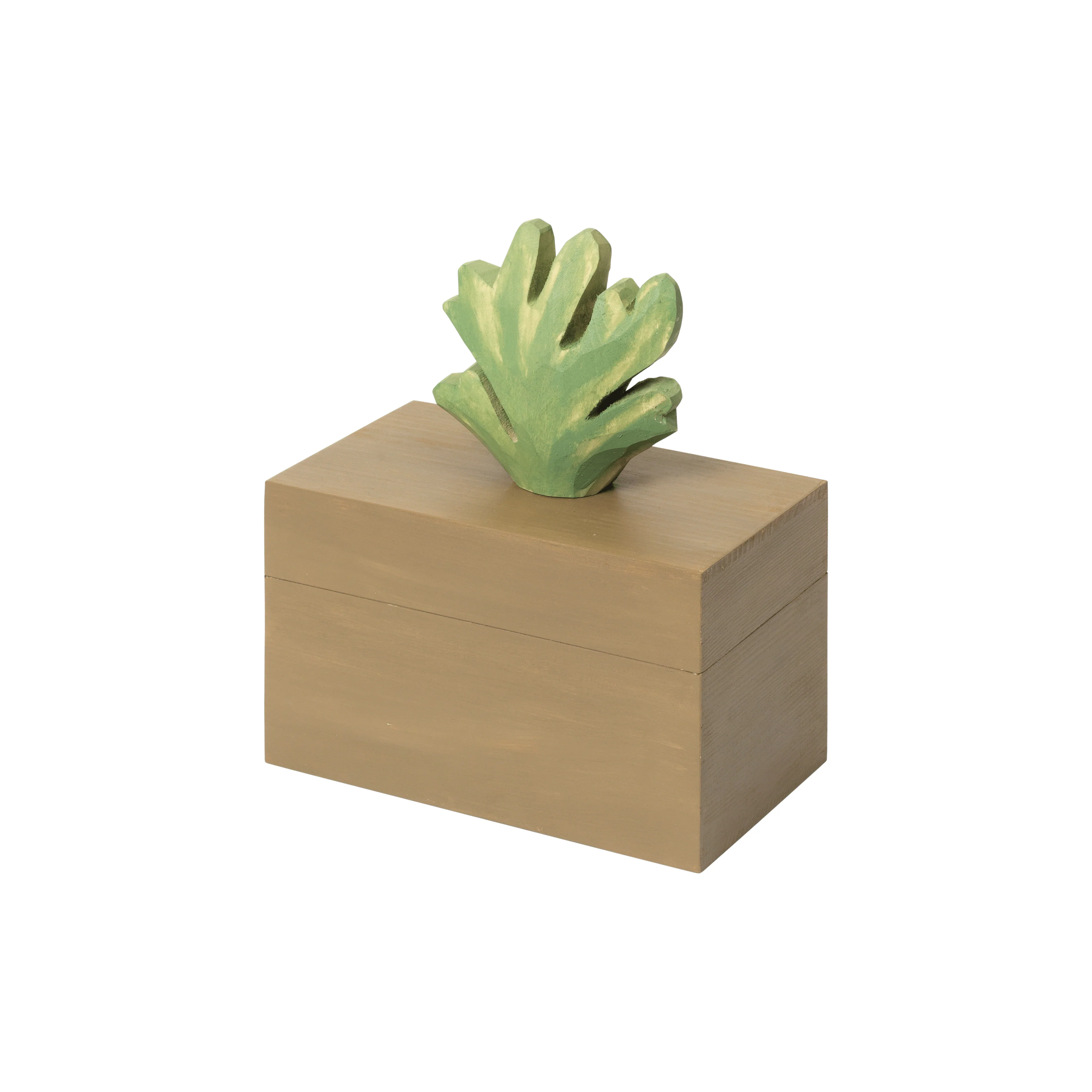 Harbour Coral Box - Image 3