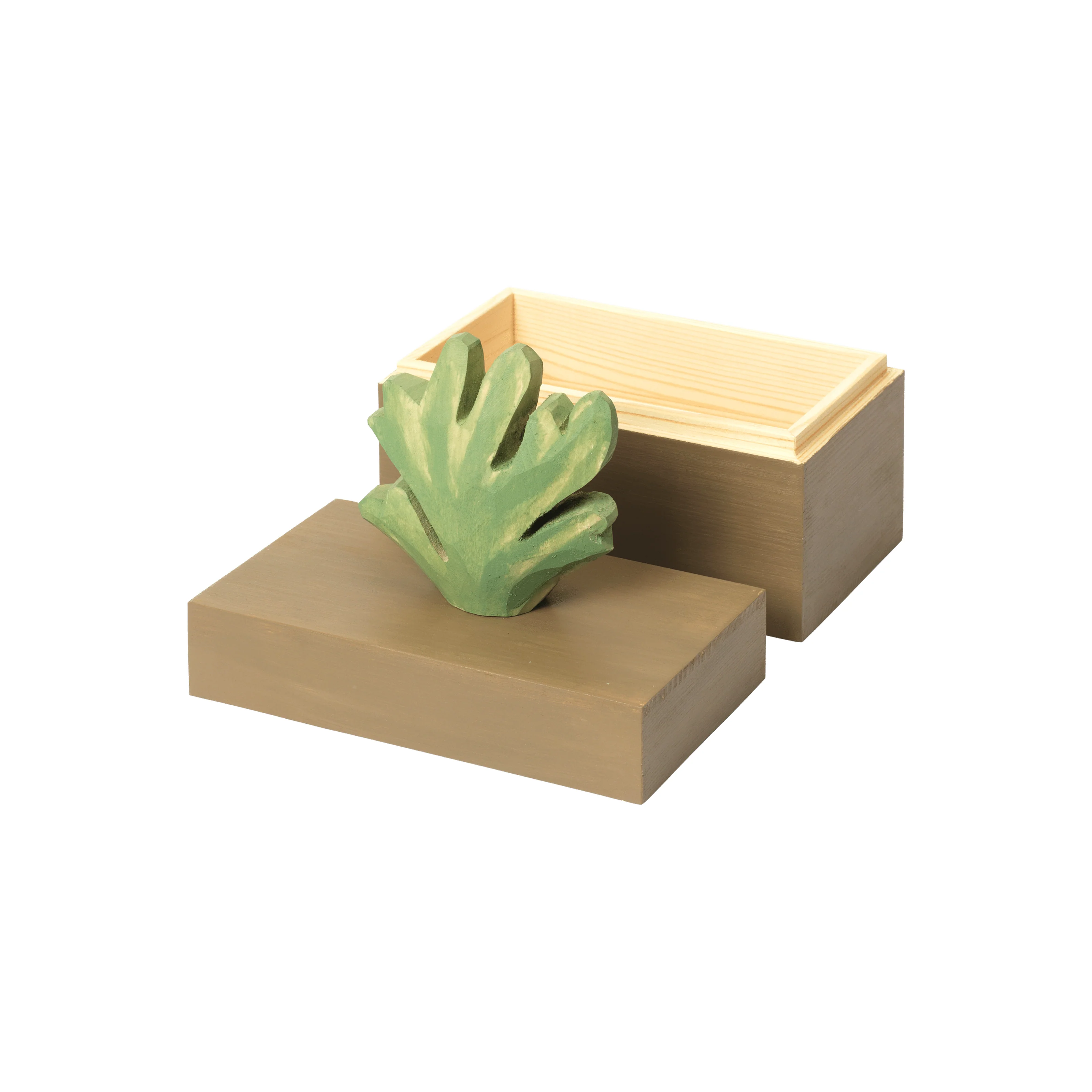 Harbour Coral Box - Image 4
