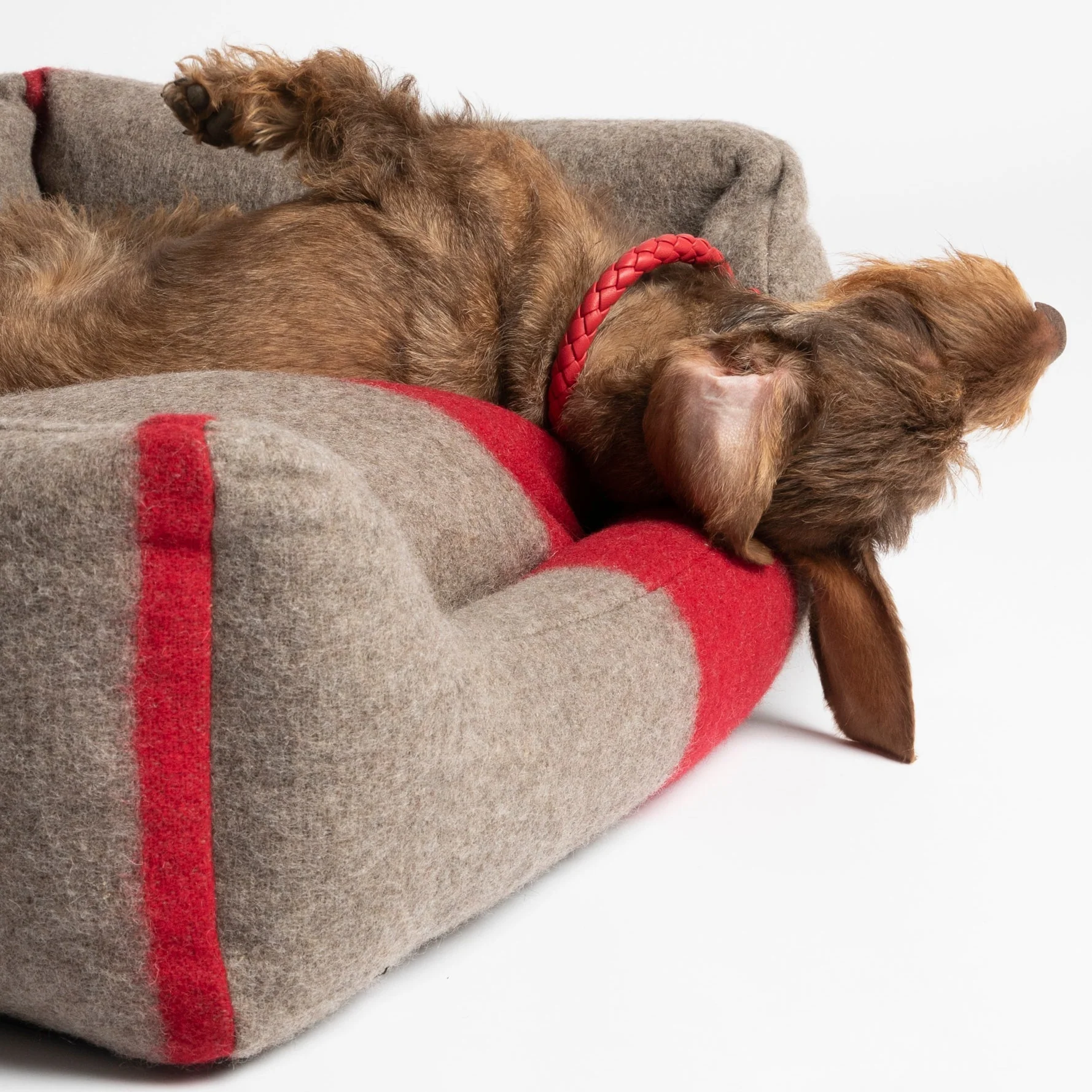 Henri Recycled Wool Dog Bed - Image 13