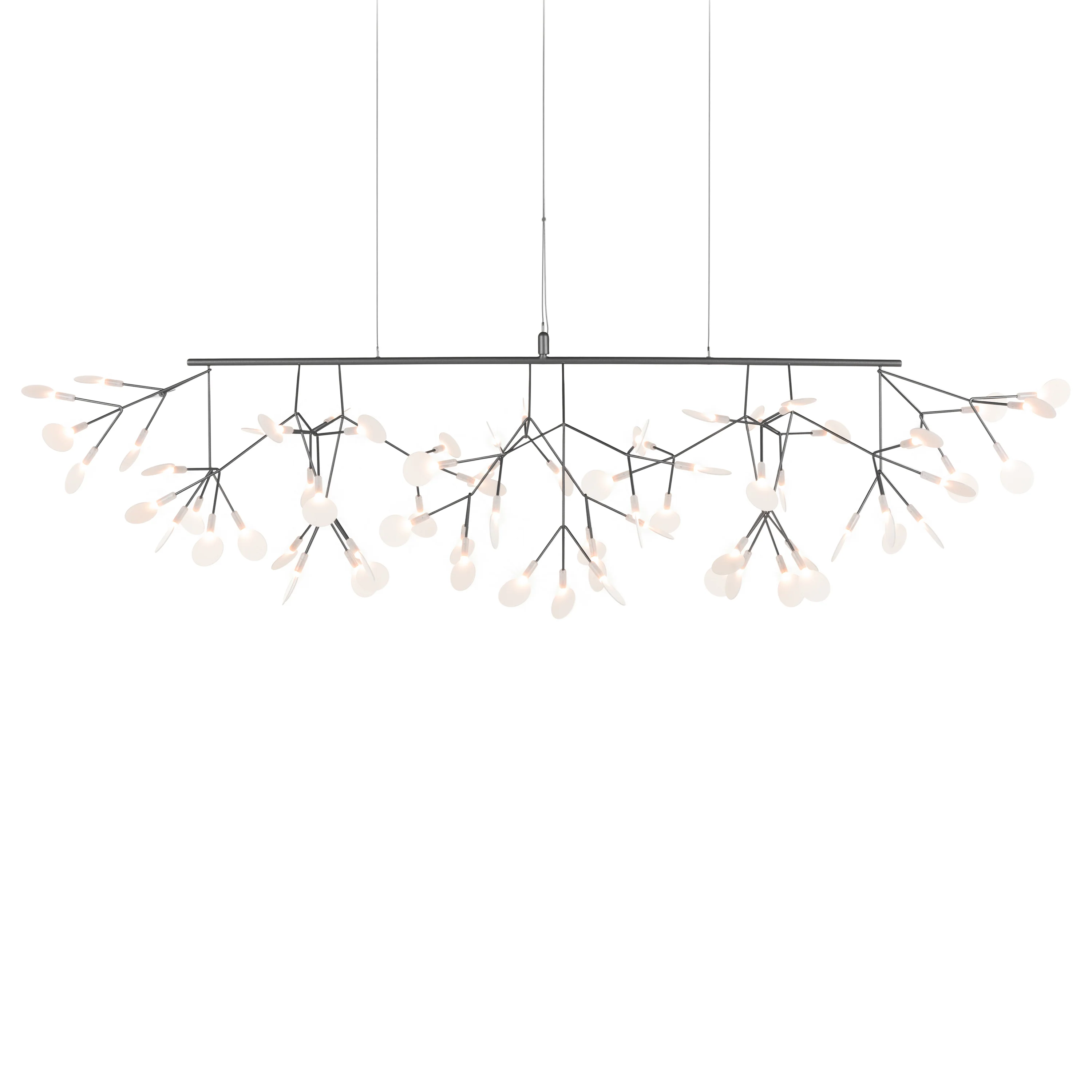Heracleum III Linear Light - Image 4
