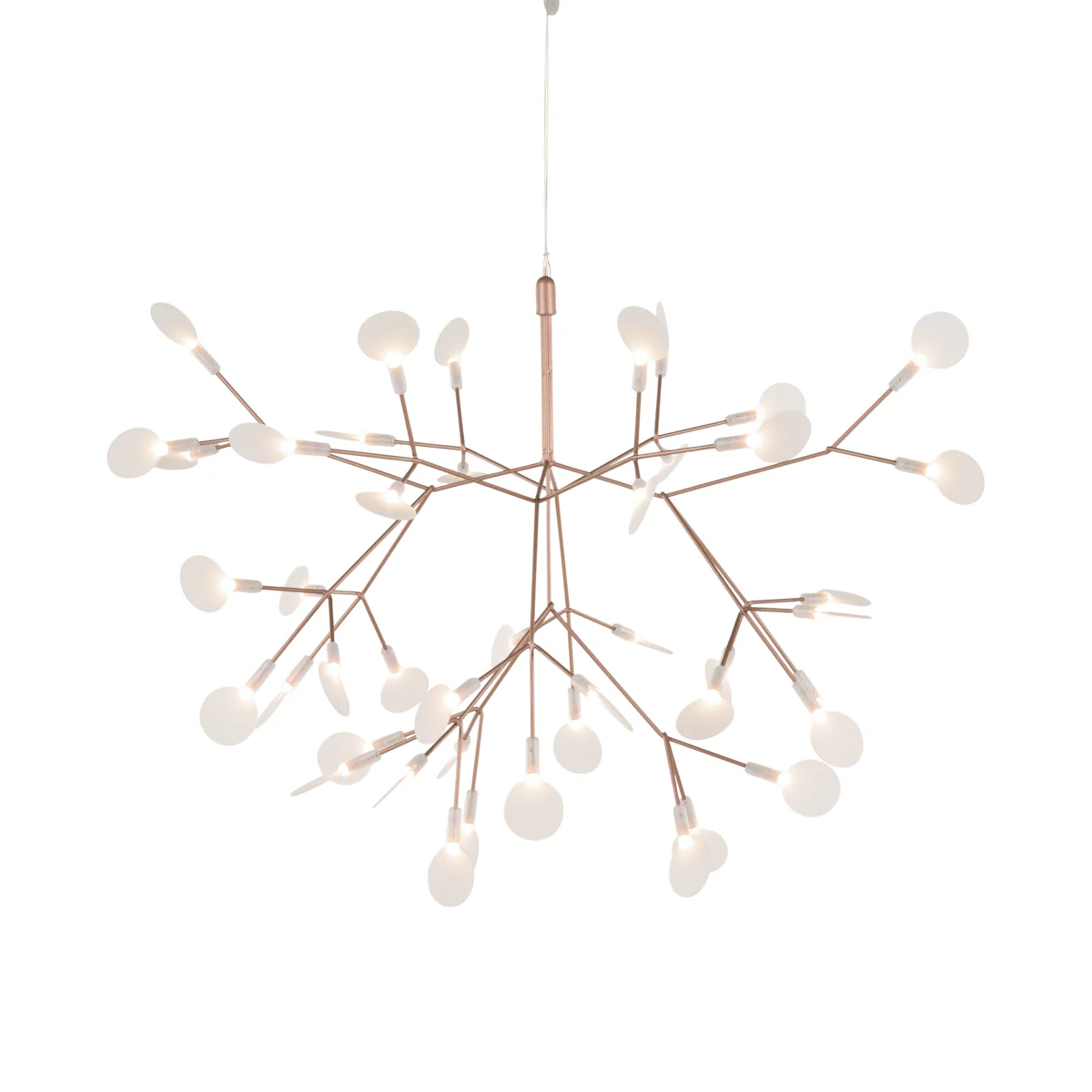 Heracleum III Suspended Light - Image 14