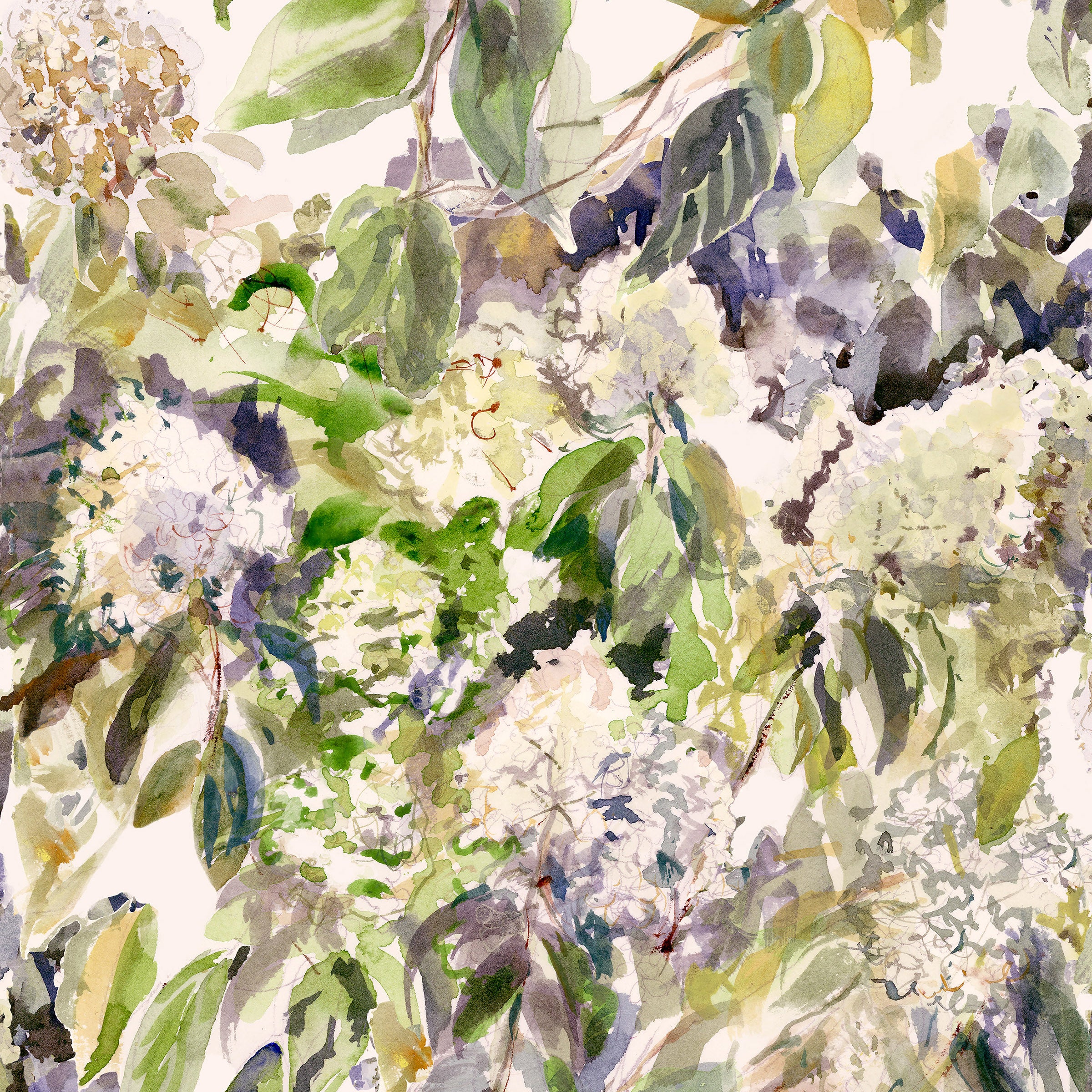 Hydrangea Garden Wallpaper - Image 3