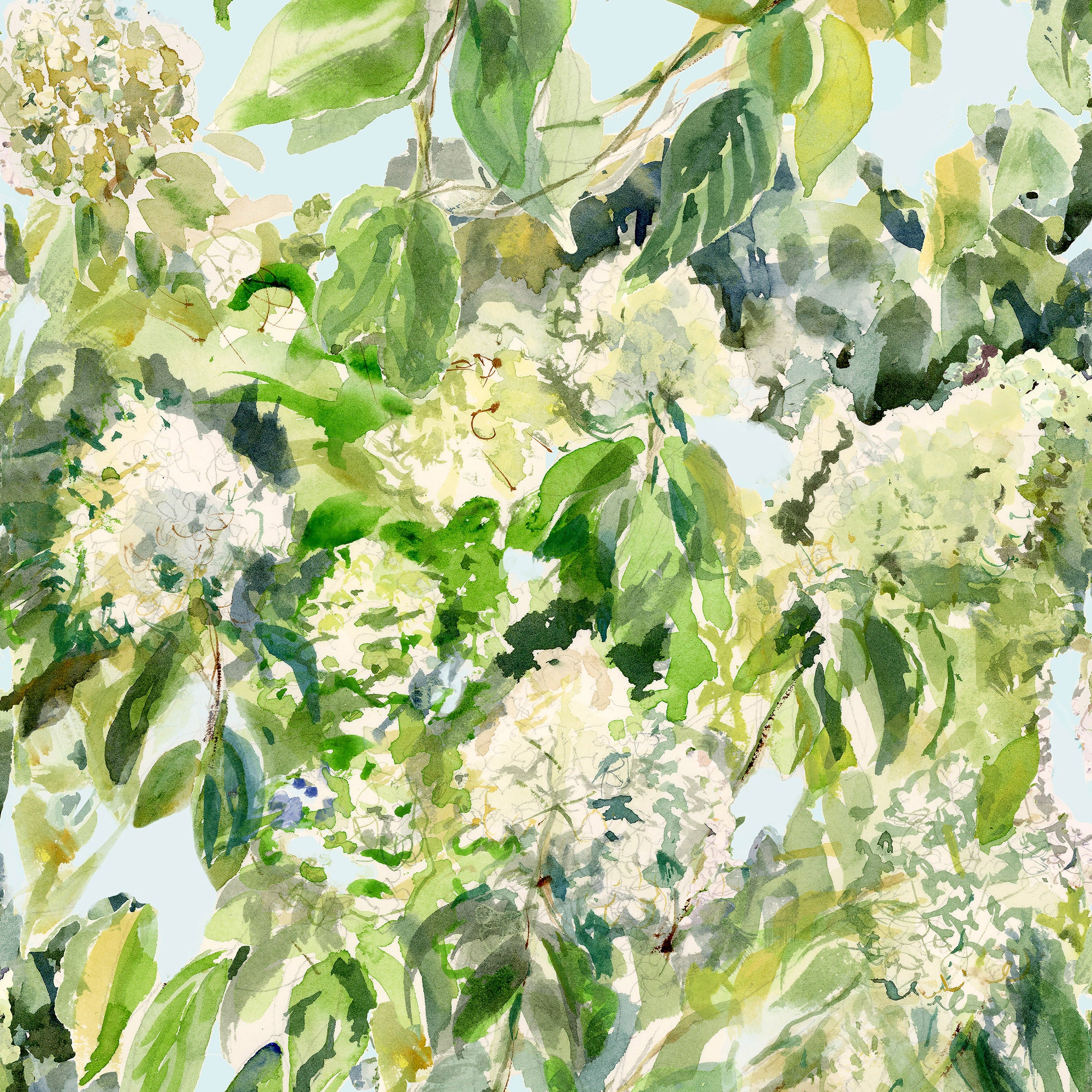 Hydrangea Garden Wallpaper Sample Swatch - Image 19