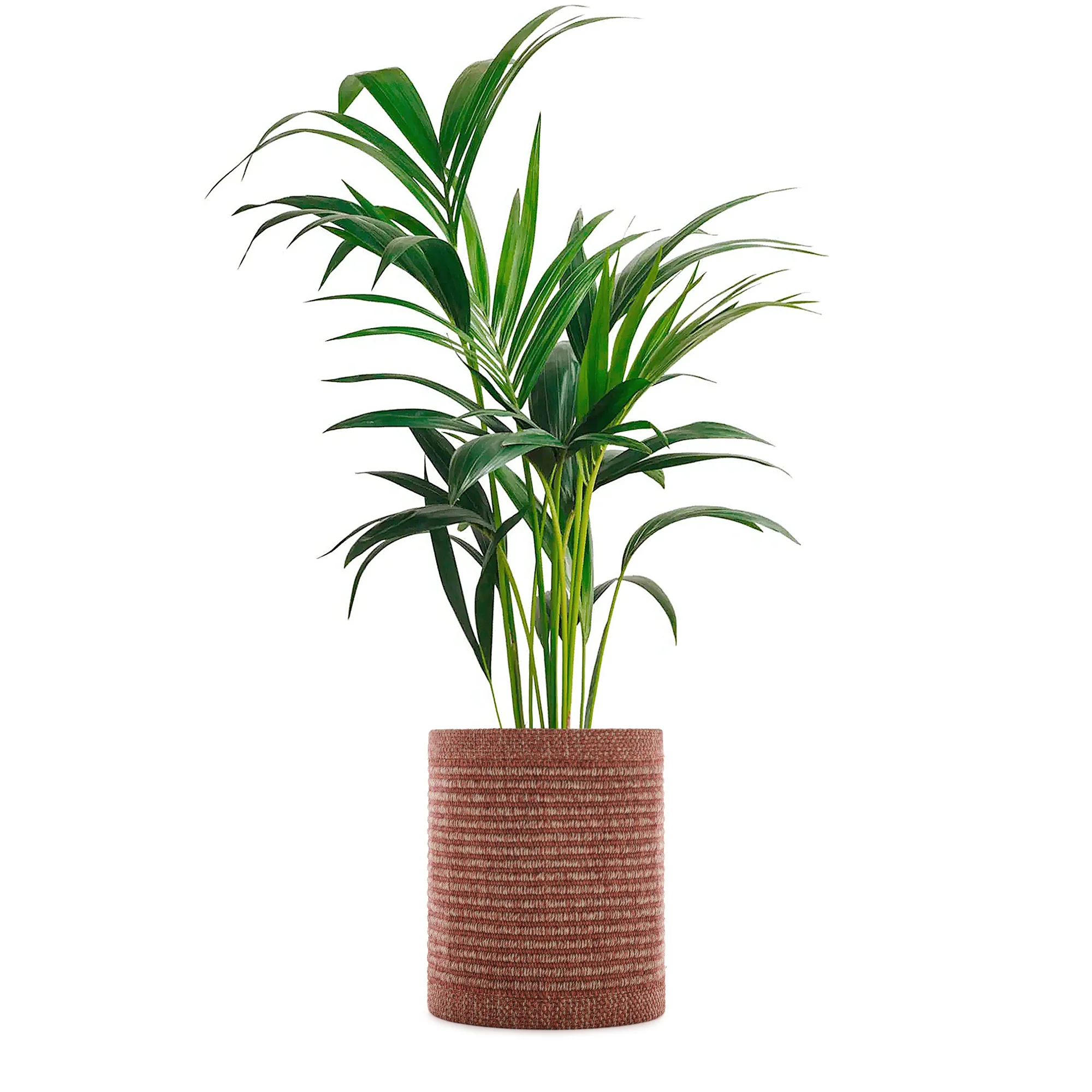 Kleo Outdoor Cachepot - Image 12