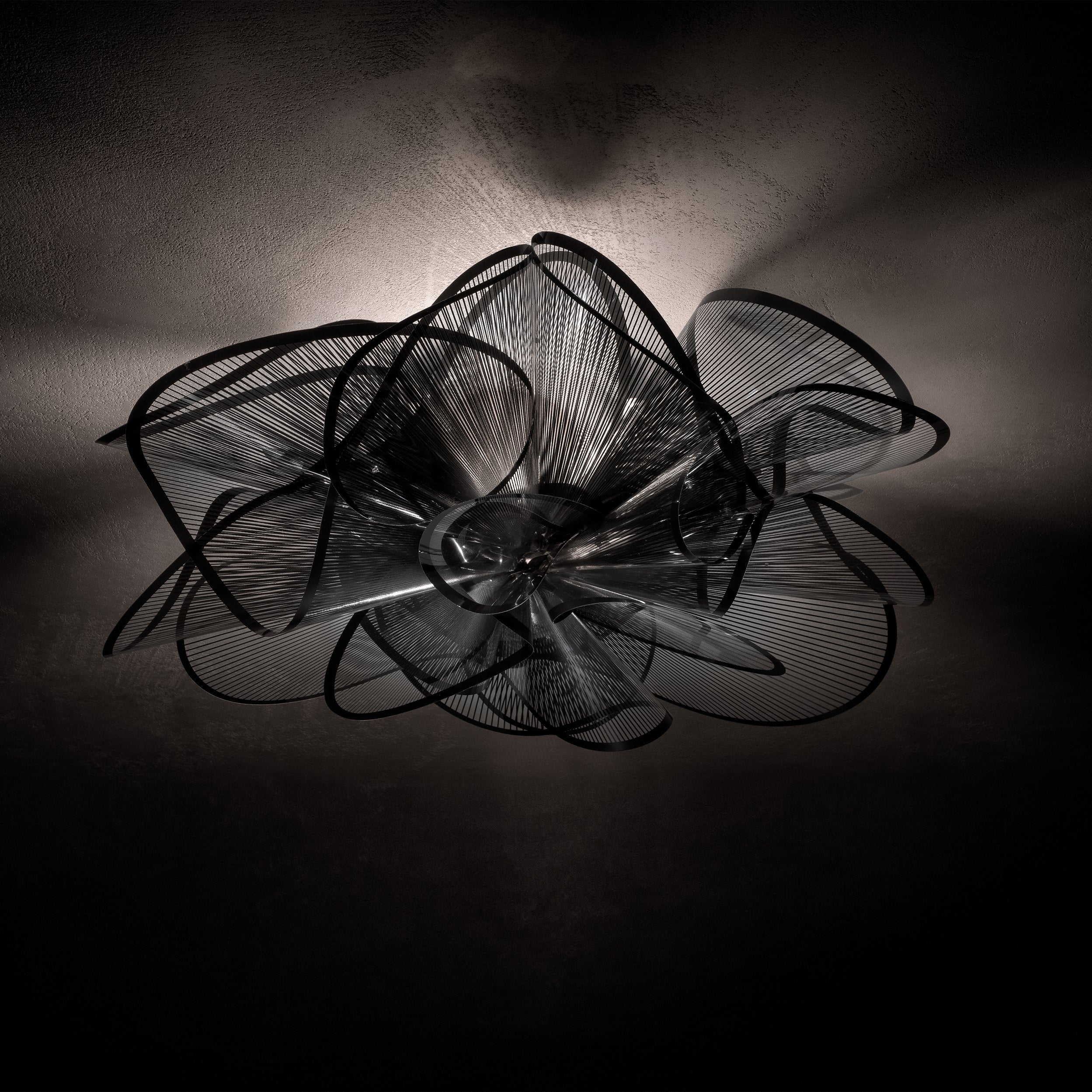 La Belle Etoile Wall / Ceiling Light - Image 8
