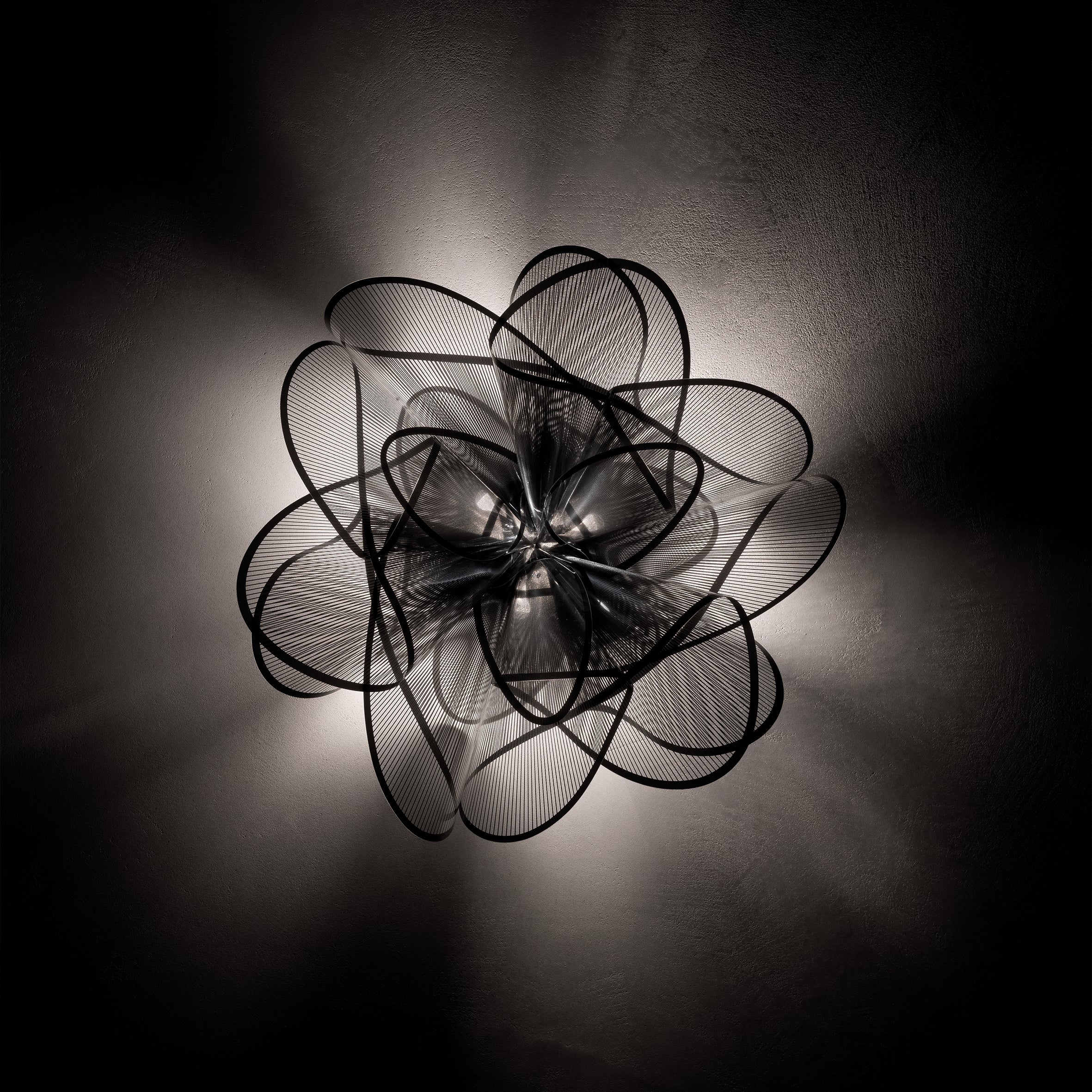 La Belle Etoile Wall / Ceiling Light - Image 9