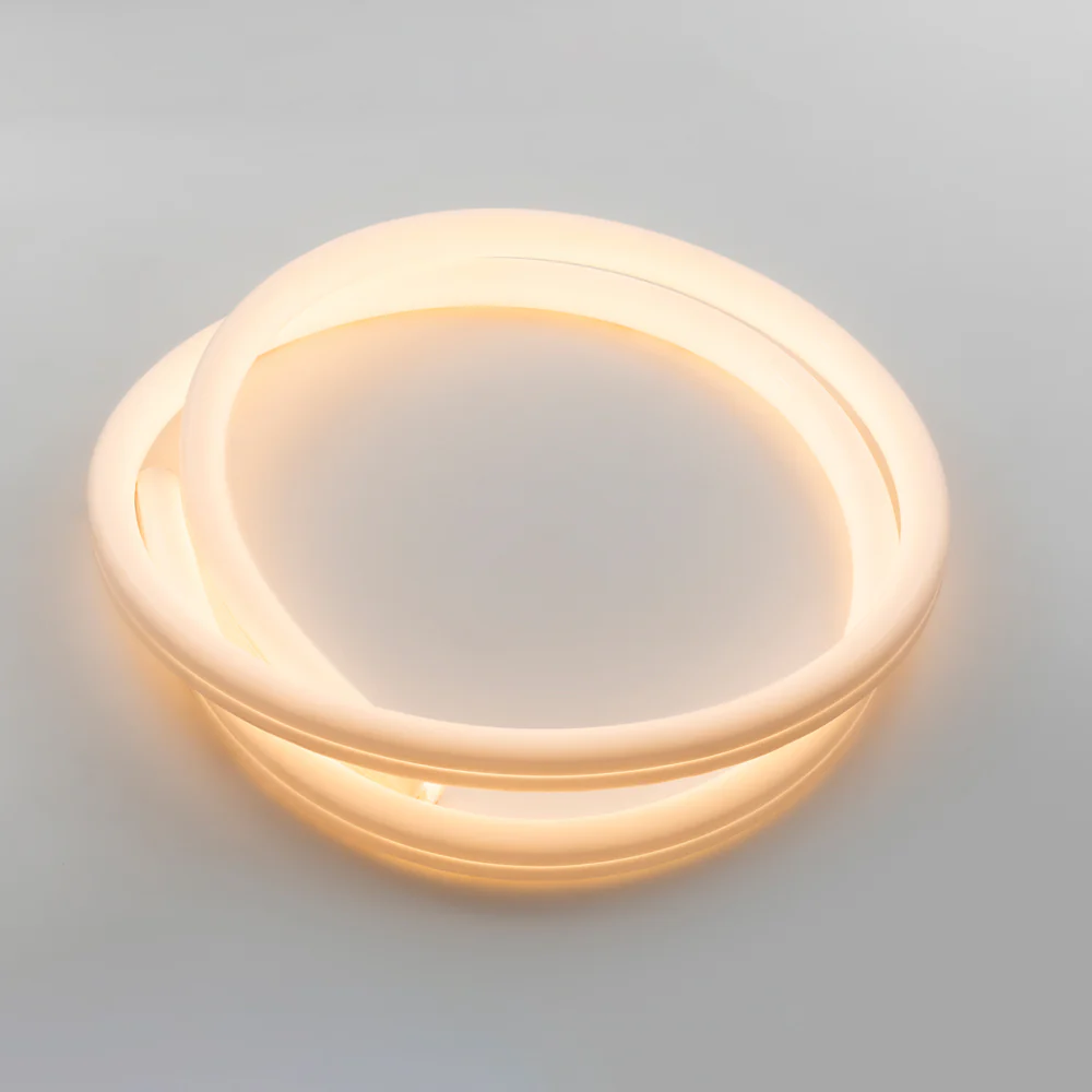 La Linea Outdoor Wall/Ceiling Light - Image 6
