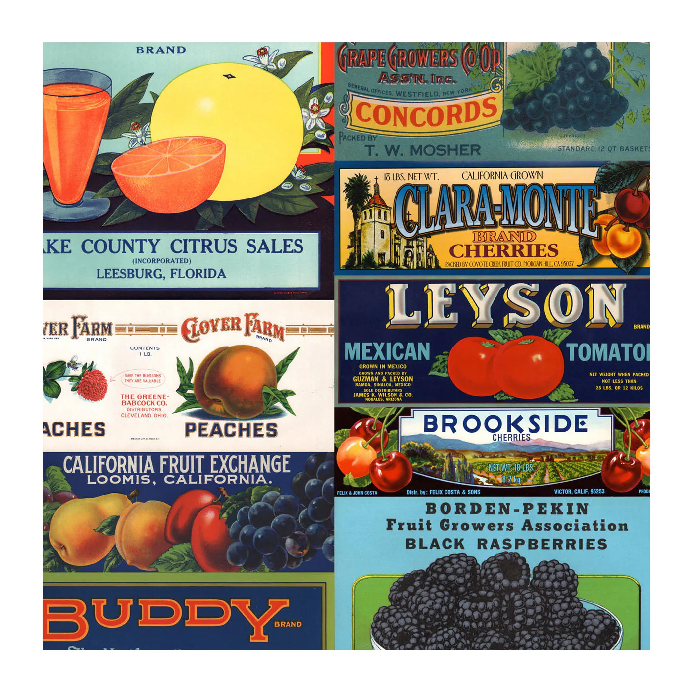 Labels Fruit & Vegetables Wallpaper Sample Swatch - Image 2