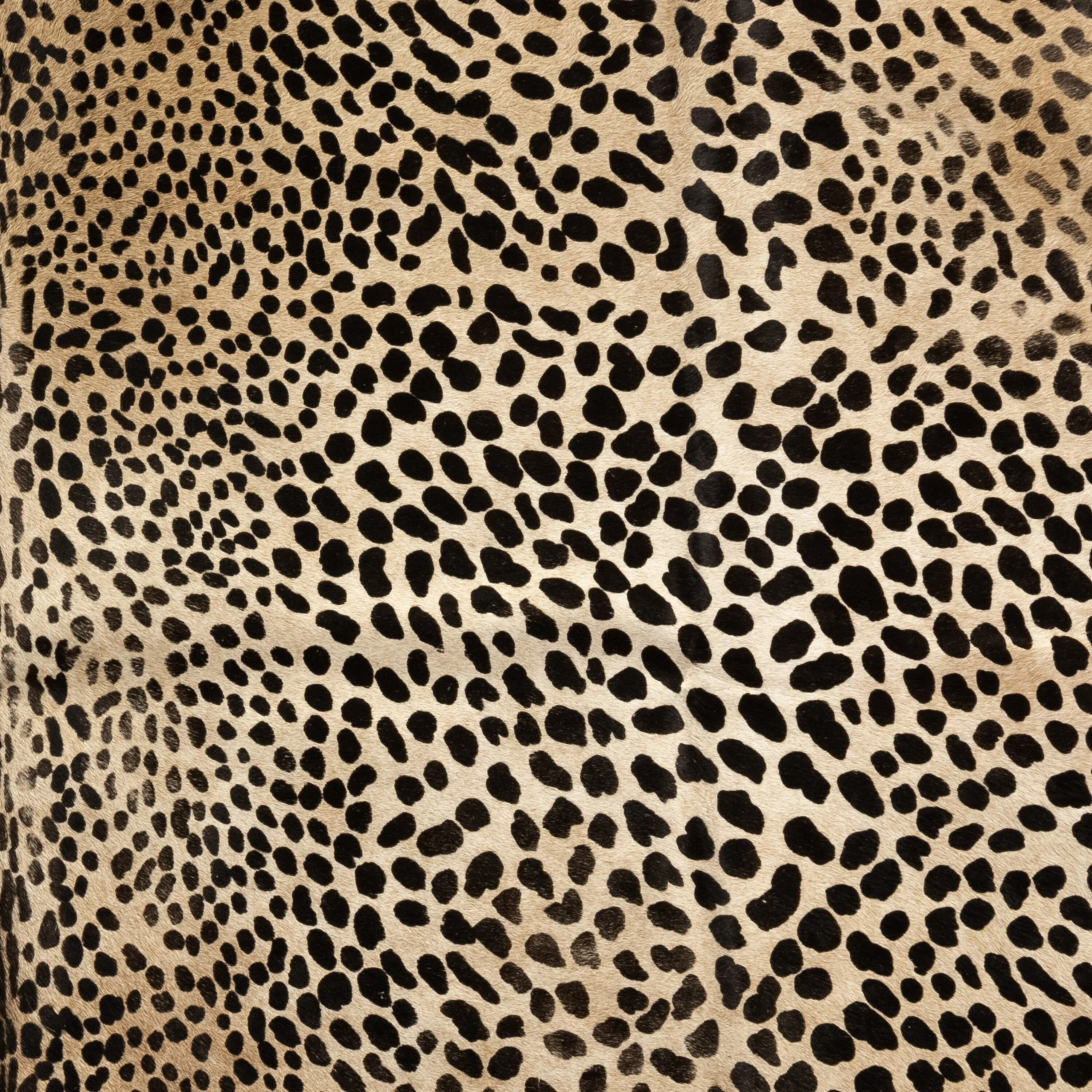 Leopard Printed Hide Rug - Image 6