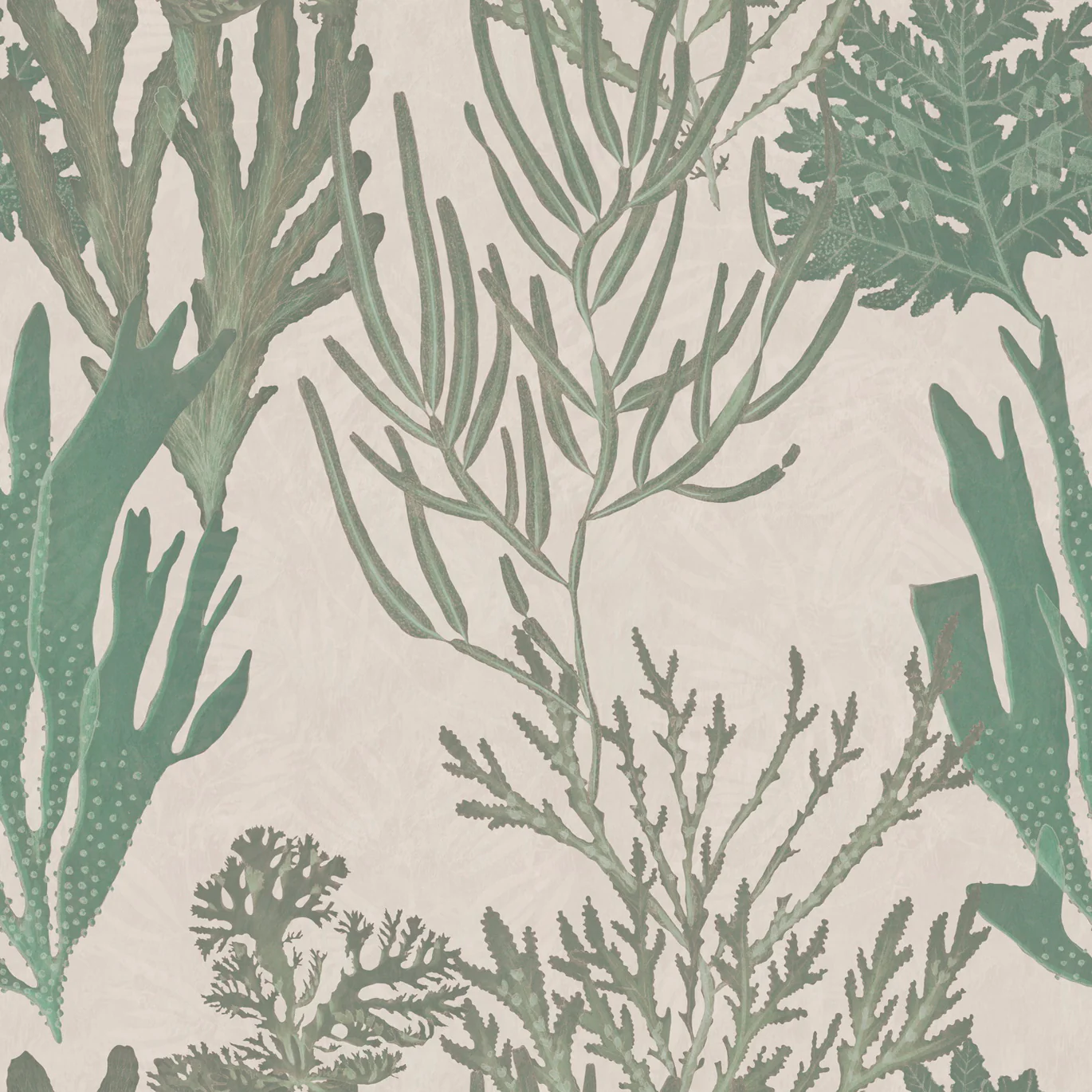 Light Corals Wallpaper - Image 2