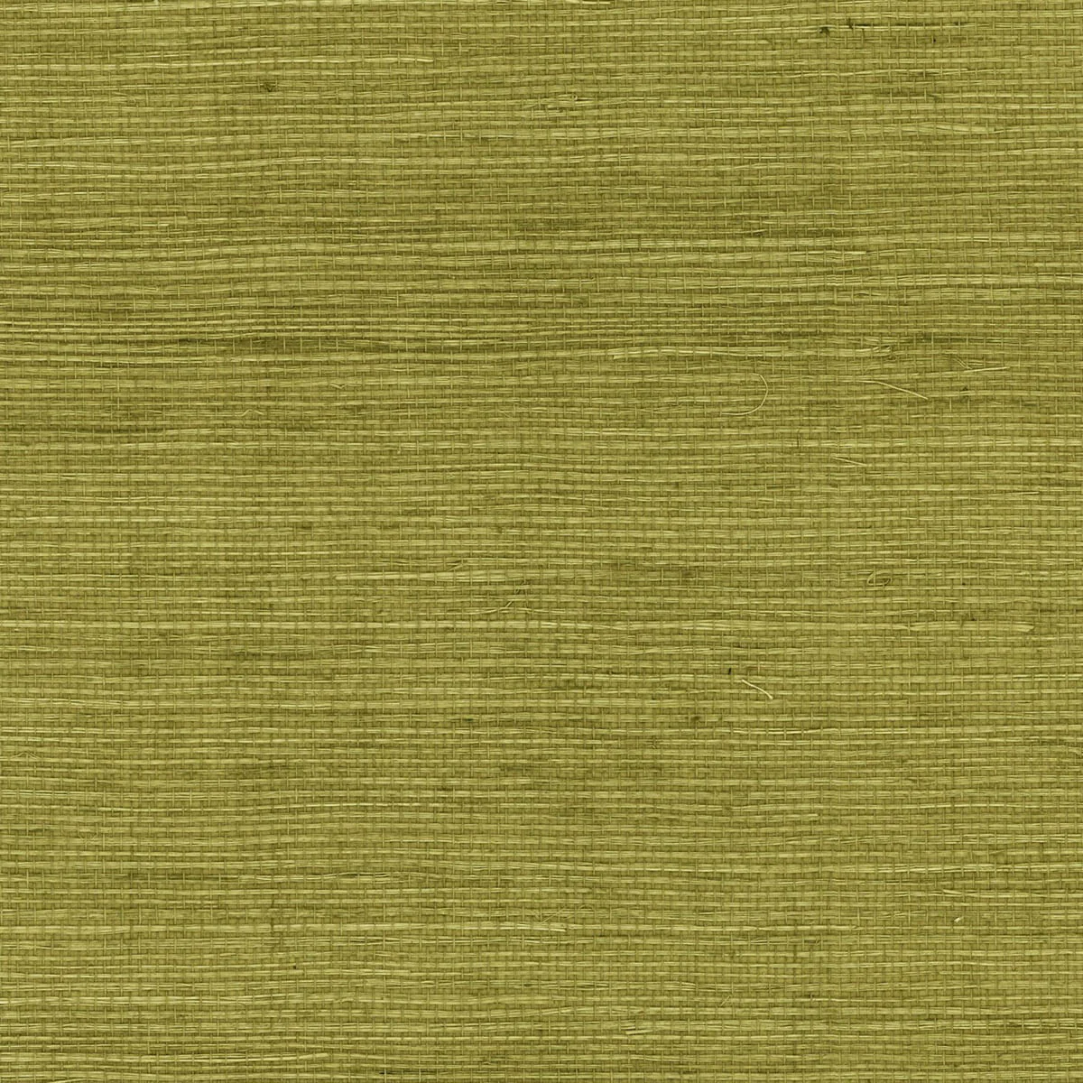 Lillian August Grasscloth Sisal Wallpaper Sample Swatch - Image 8