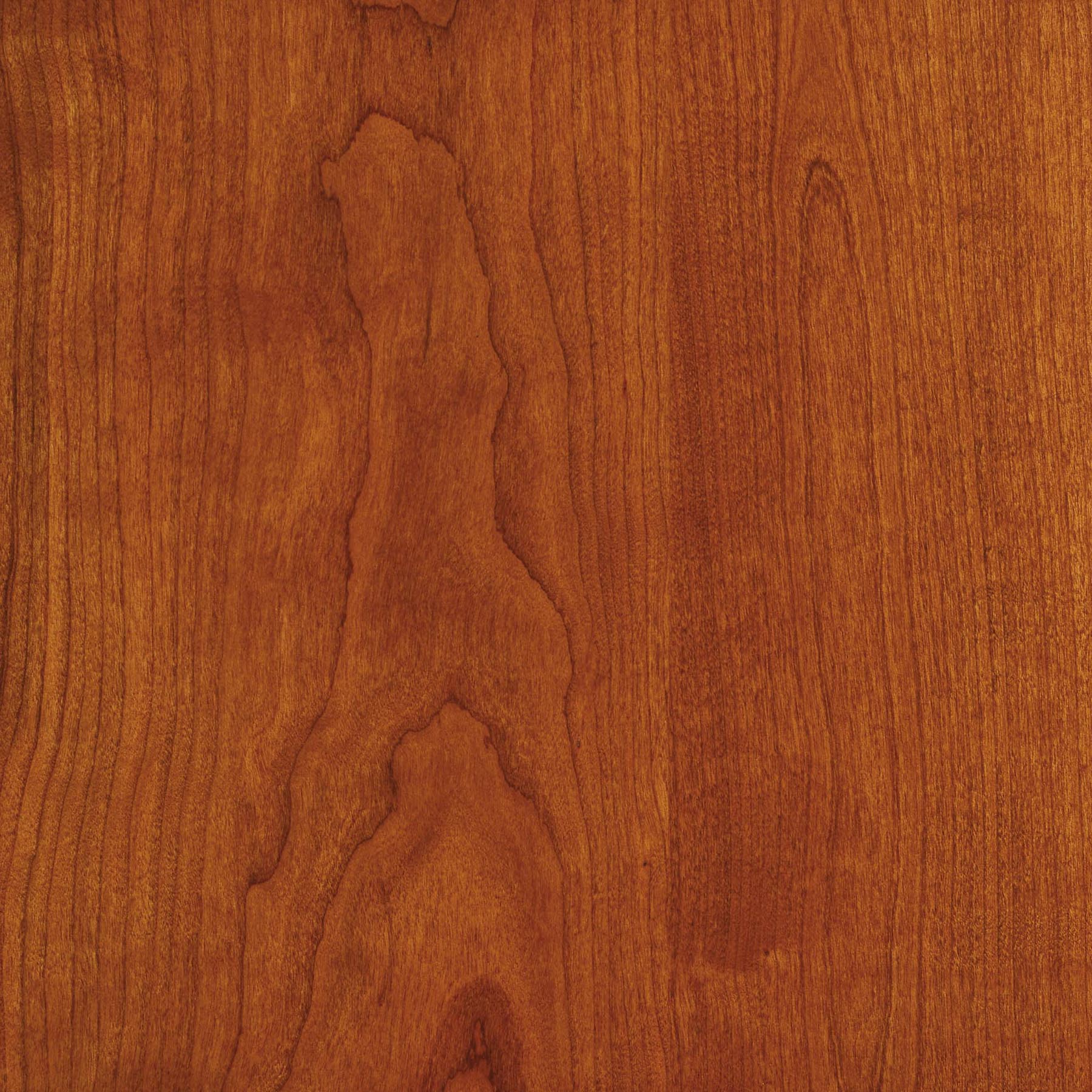 Lisse Side Chair - Image 25