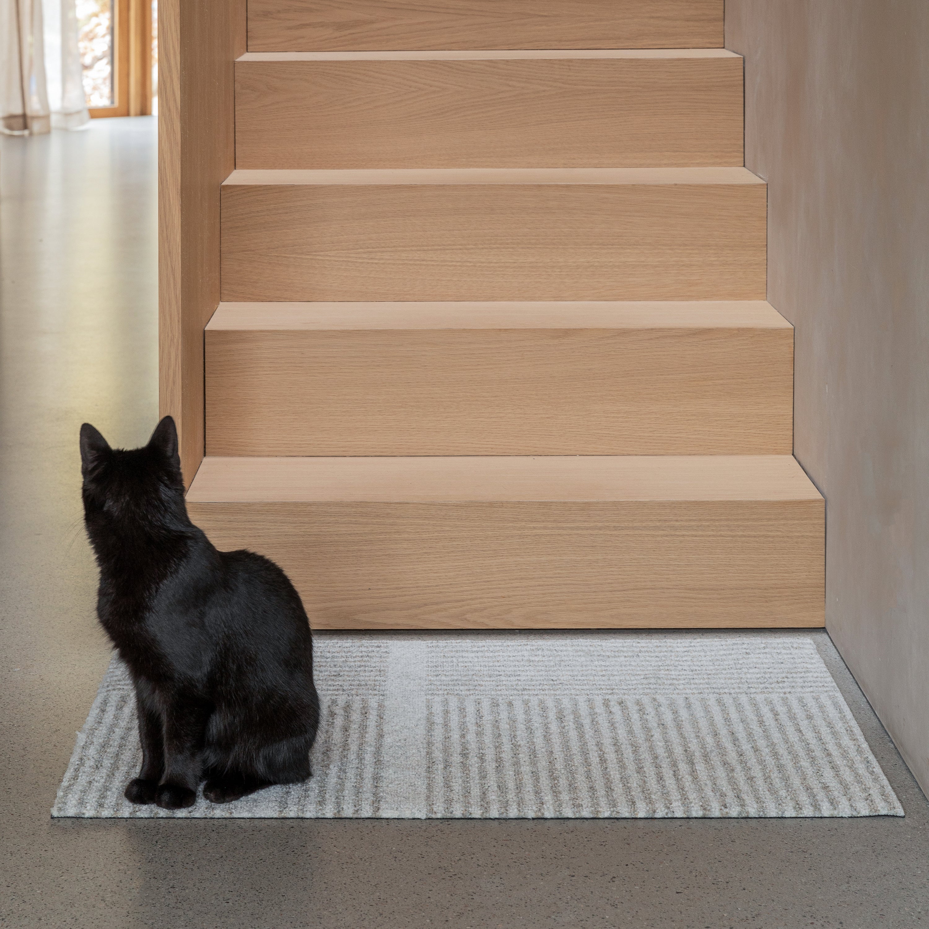 Loype Entrance Mat - Image 2