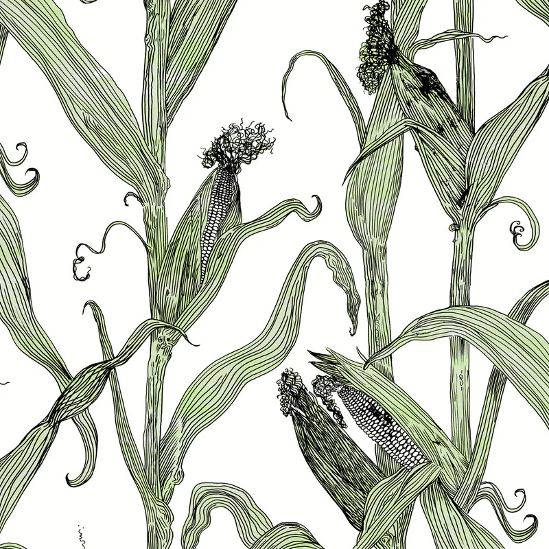 Mais Wallpaper - Image 13