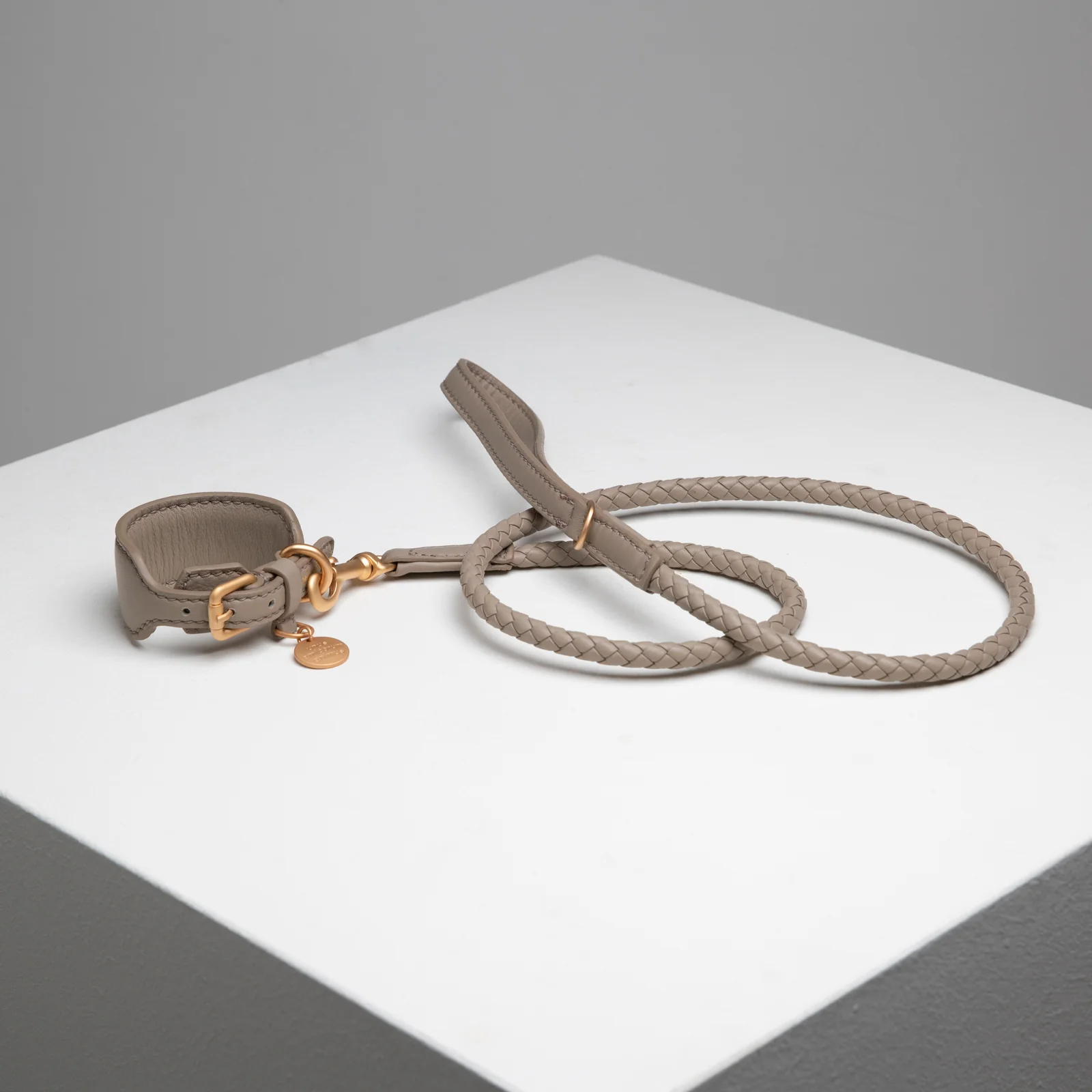 Mario Sighthound Collar - Image 19