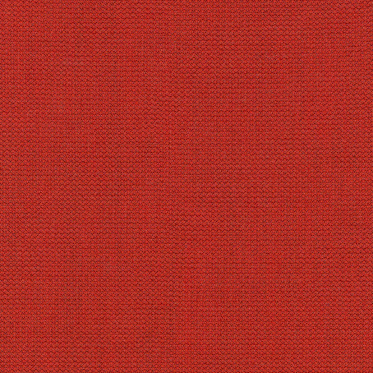 Meantime Sofa - Image 5