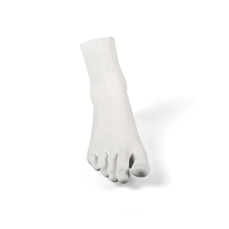 Memorabilia Mvsevm Body Part - Image 24