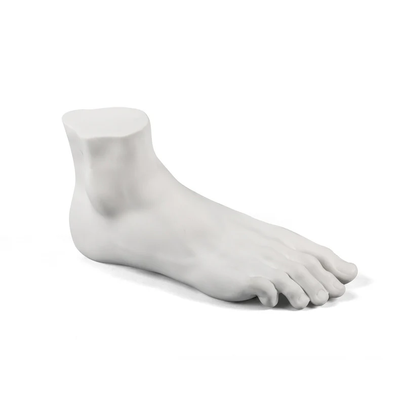 Memorabilia Mvsevm Body Part - Image 5