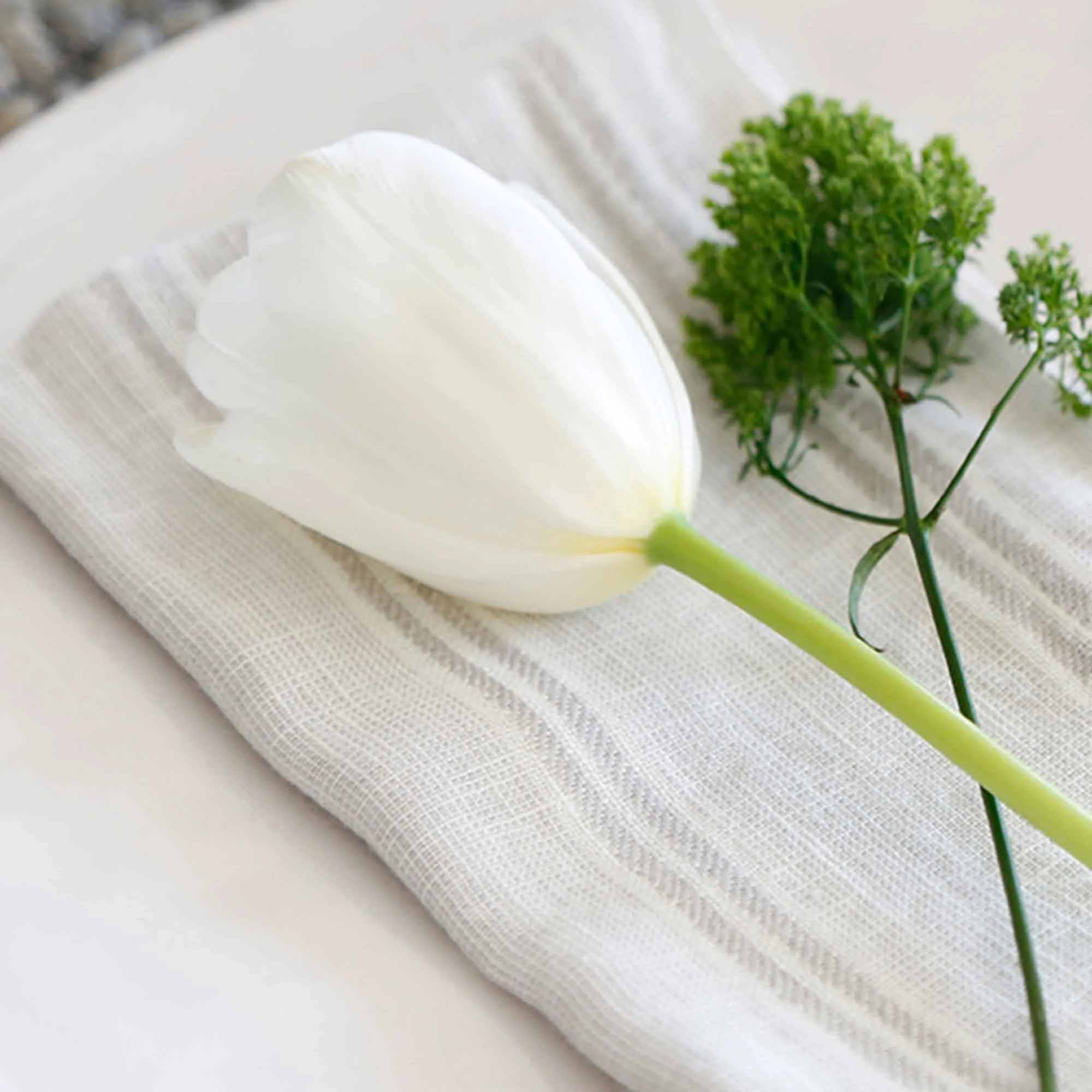 Mendocino Napkin (Set of 4) - Image 9