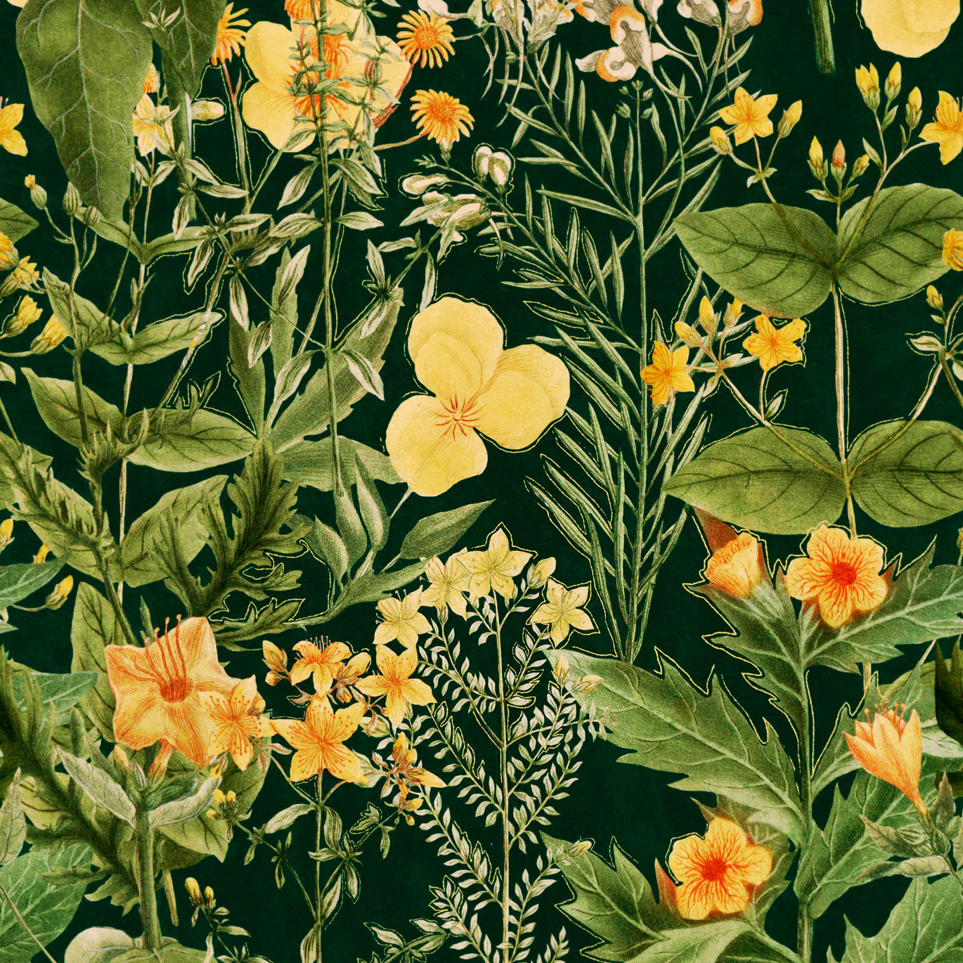 Mimulus Wallpaper - Image 4