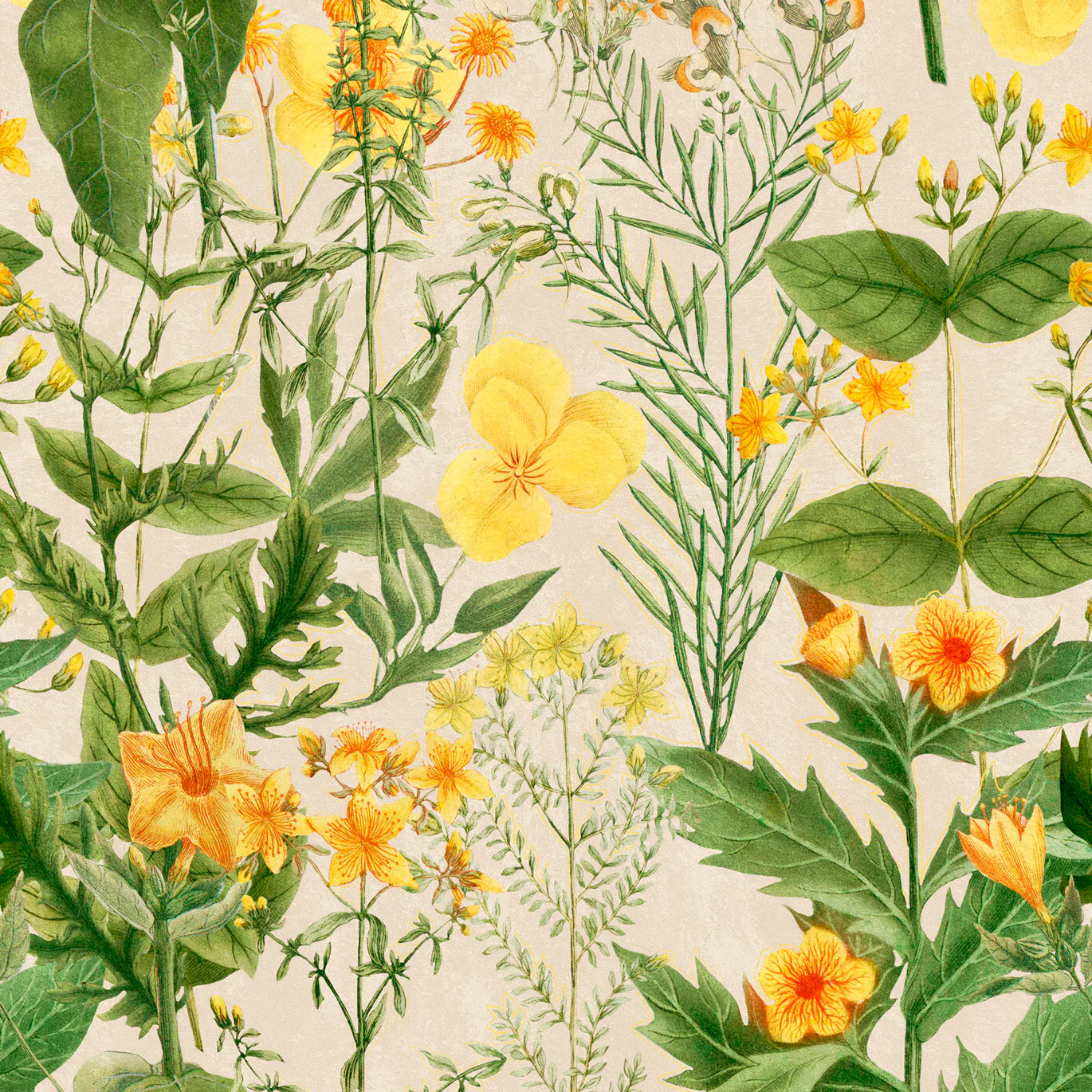 Mimulus Wallpaper - Image 5
