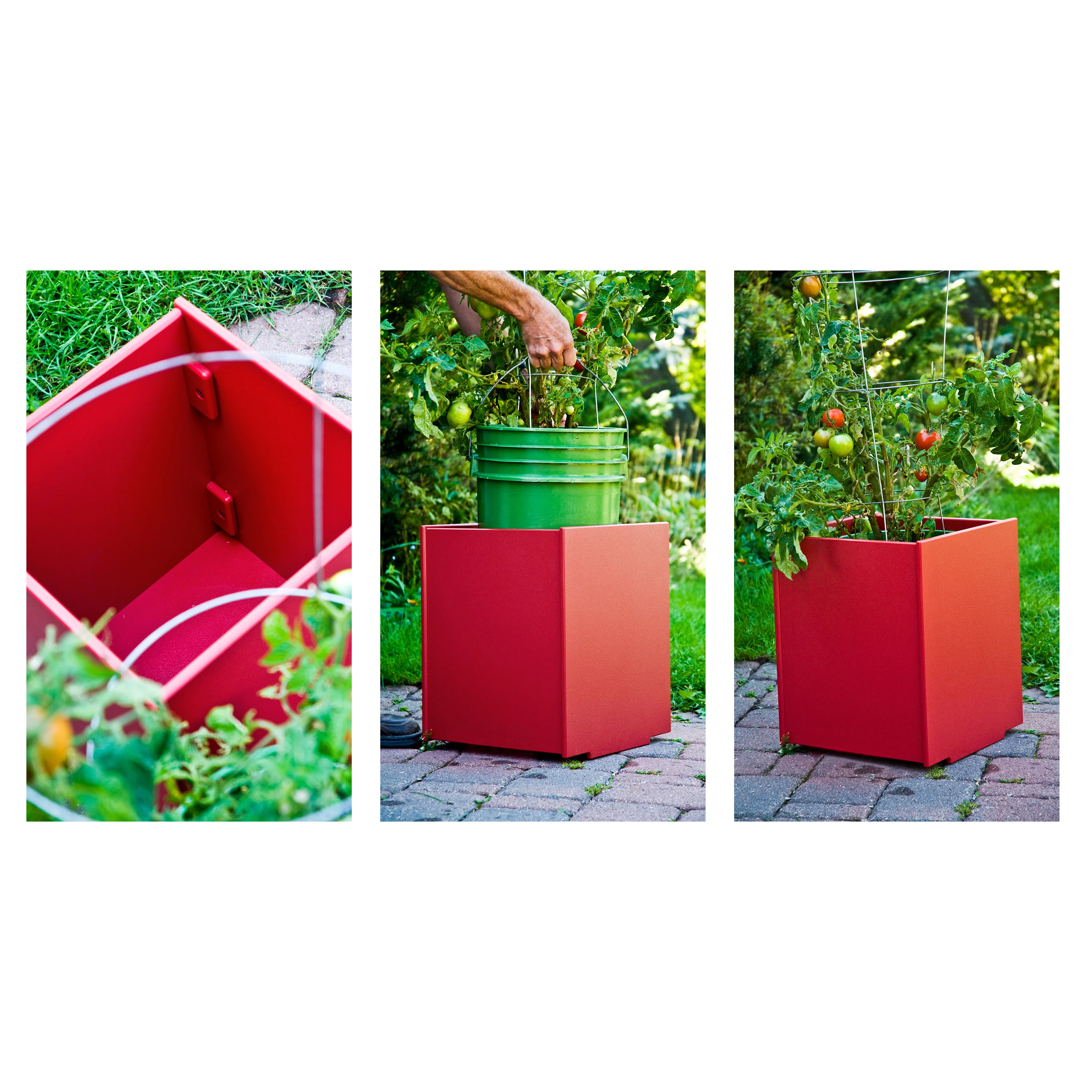 Mondo Planter - Image 37