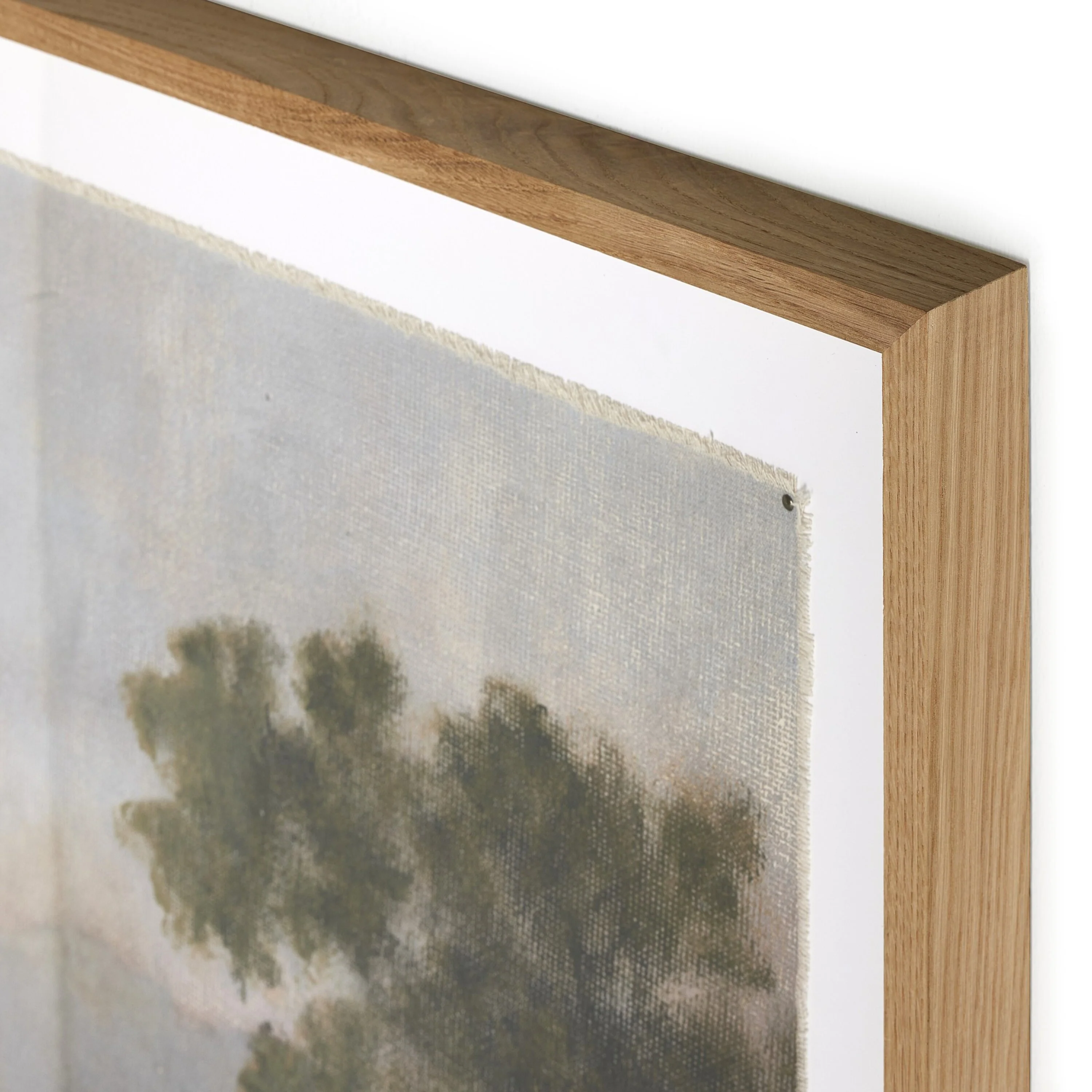 Morning Glory by Aileen Fitzgerald Wall Art - Image 4