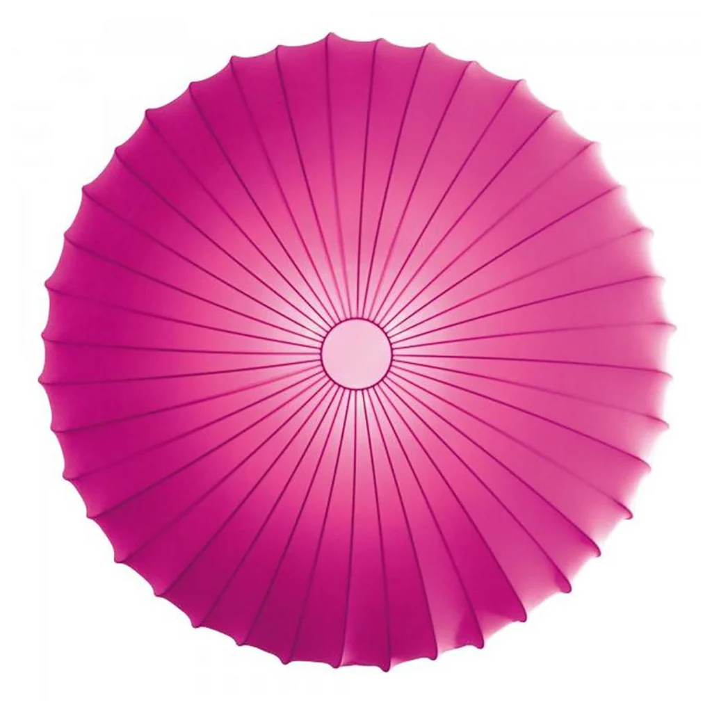Muse Wall/Ceiling Light - Image 5