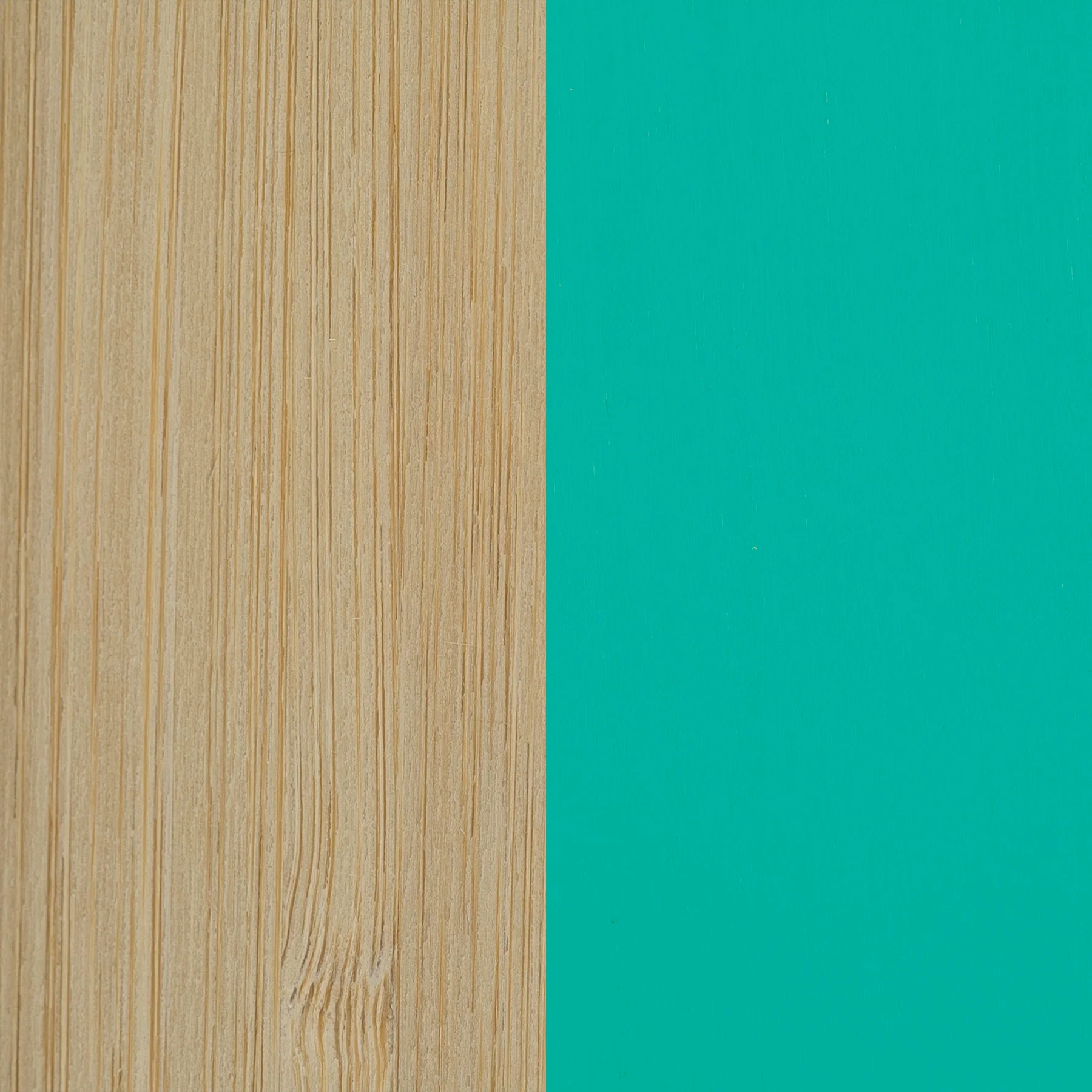 Nikau Full Pendant Light - Image 4