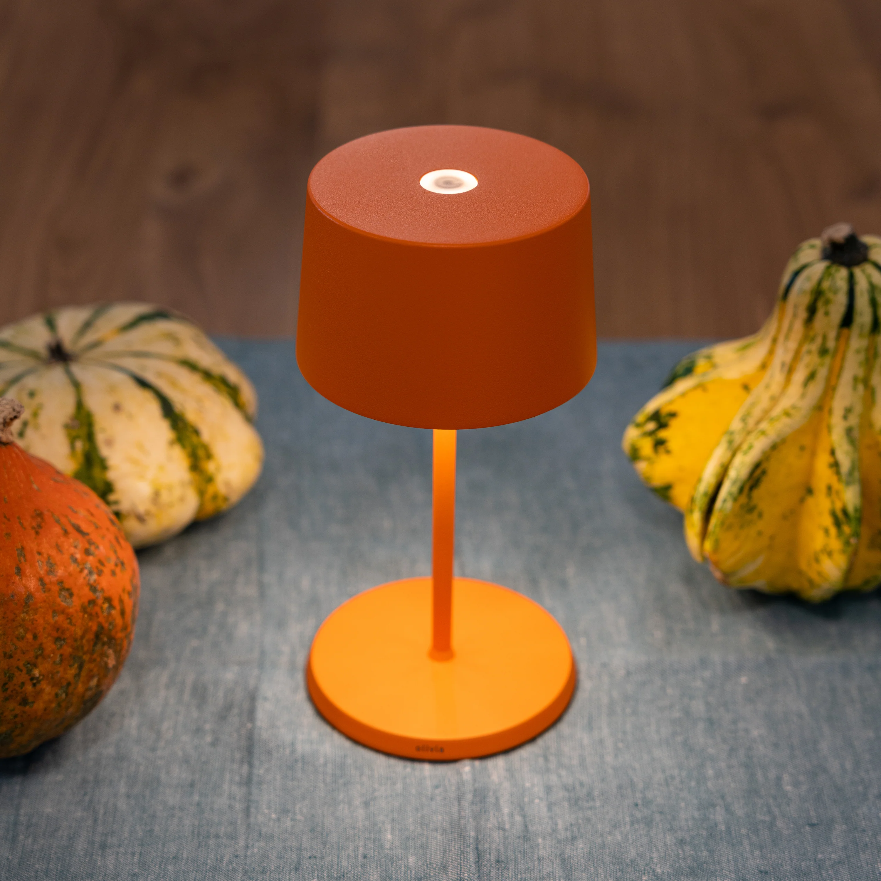 Olivia Pro Mini Portable Table Lamp - Image 24