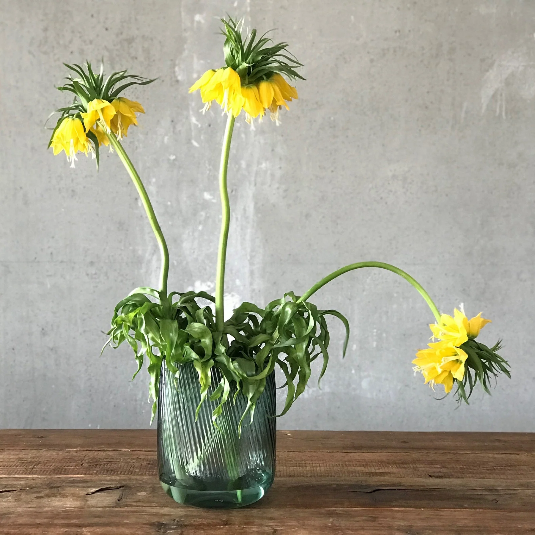 Opti Vase - Image 7