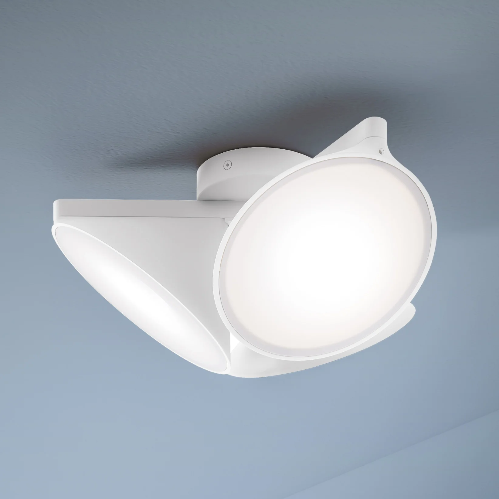 Orchid Flush Mount - Image 8
