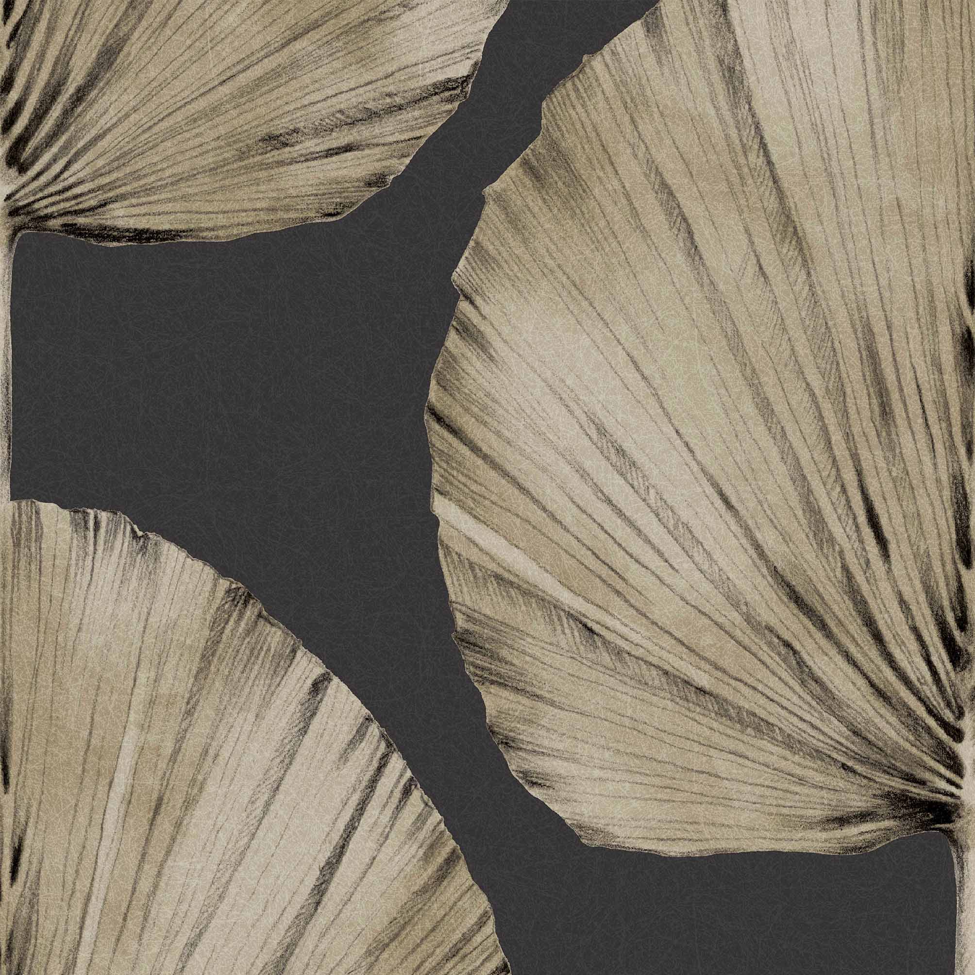 Palm Fan Wallpaper