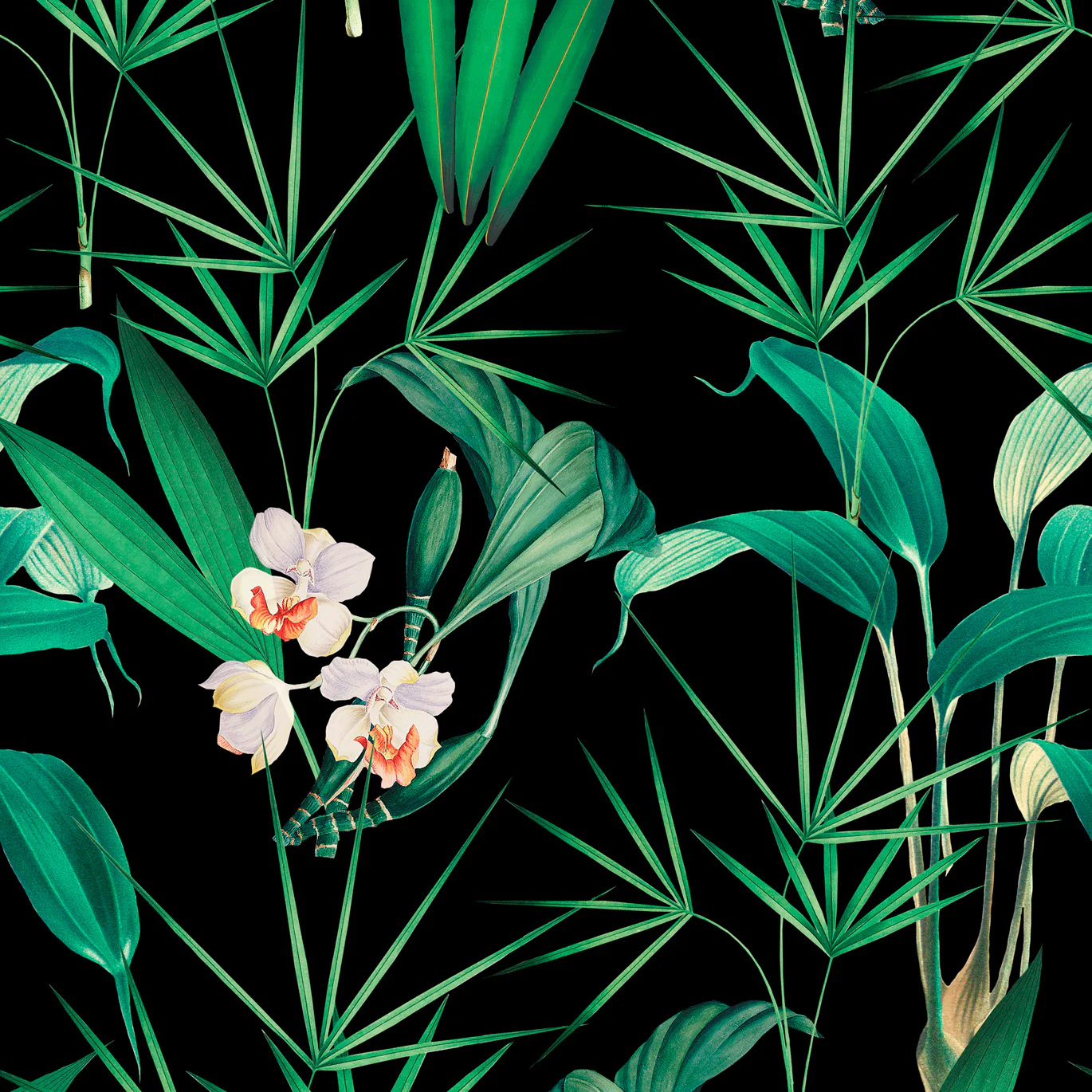 Palm Springs Wallpaper - Image 4