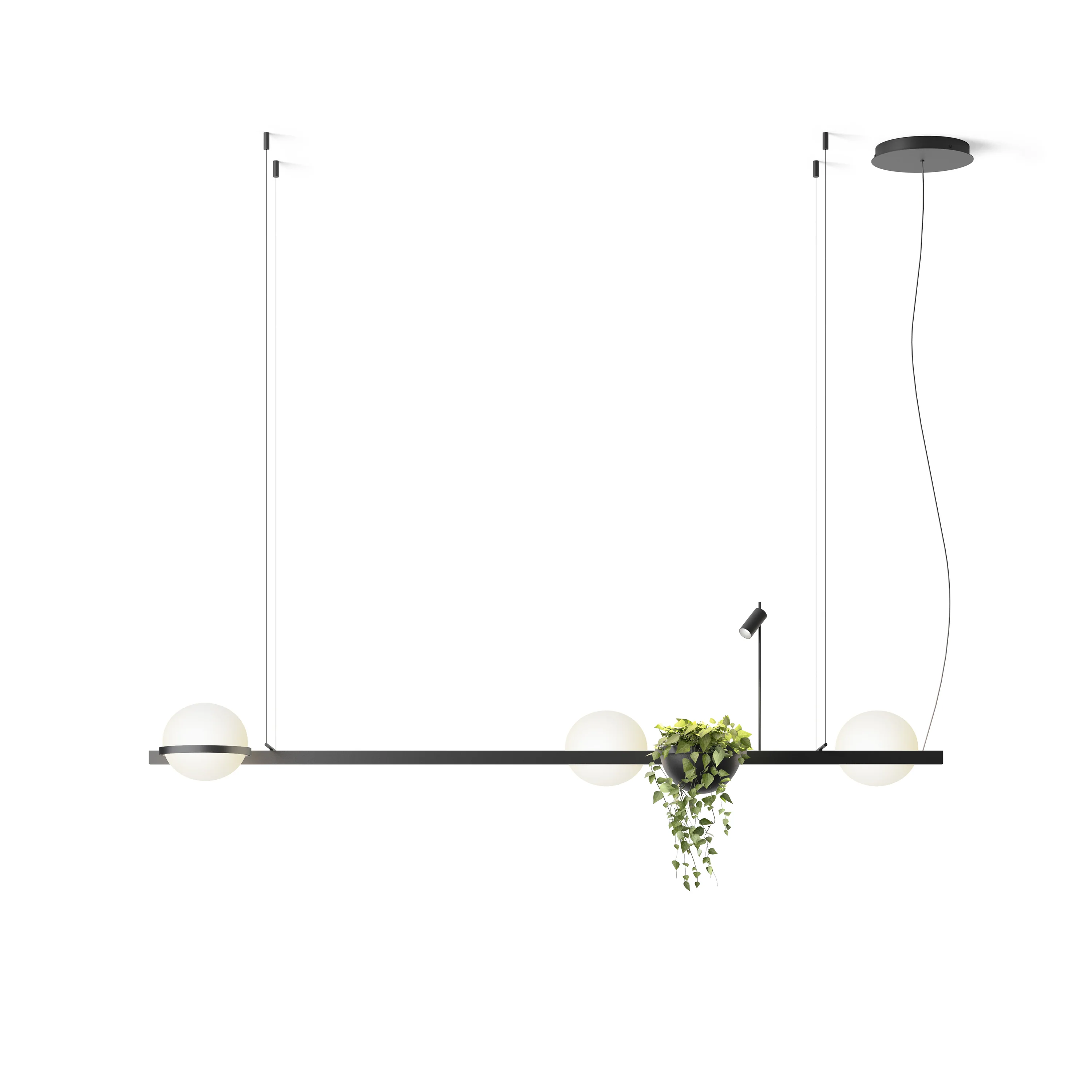 Palma Pendant Light - Image 3