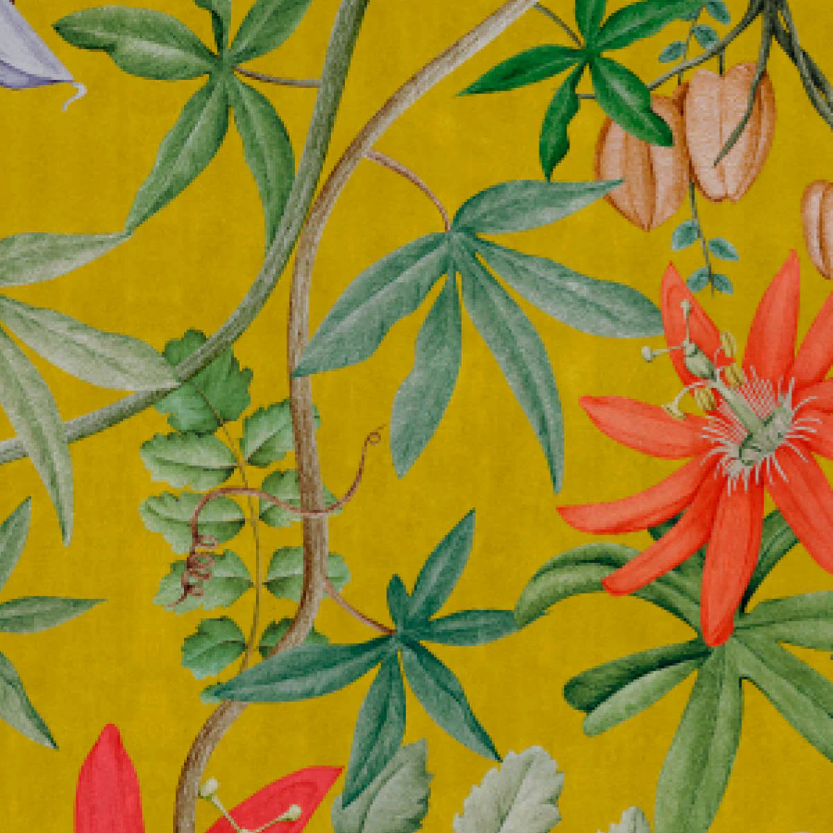 Passiflora Wallpaper - Image 3