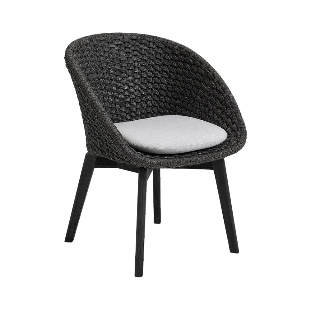 Peacock Dining Chair - Image 14